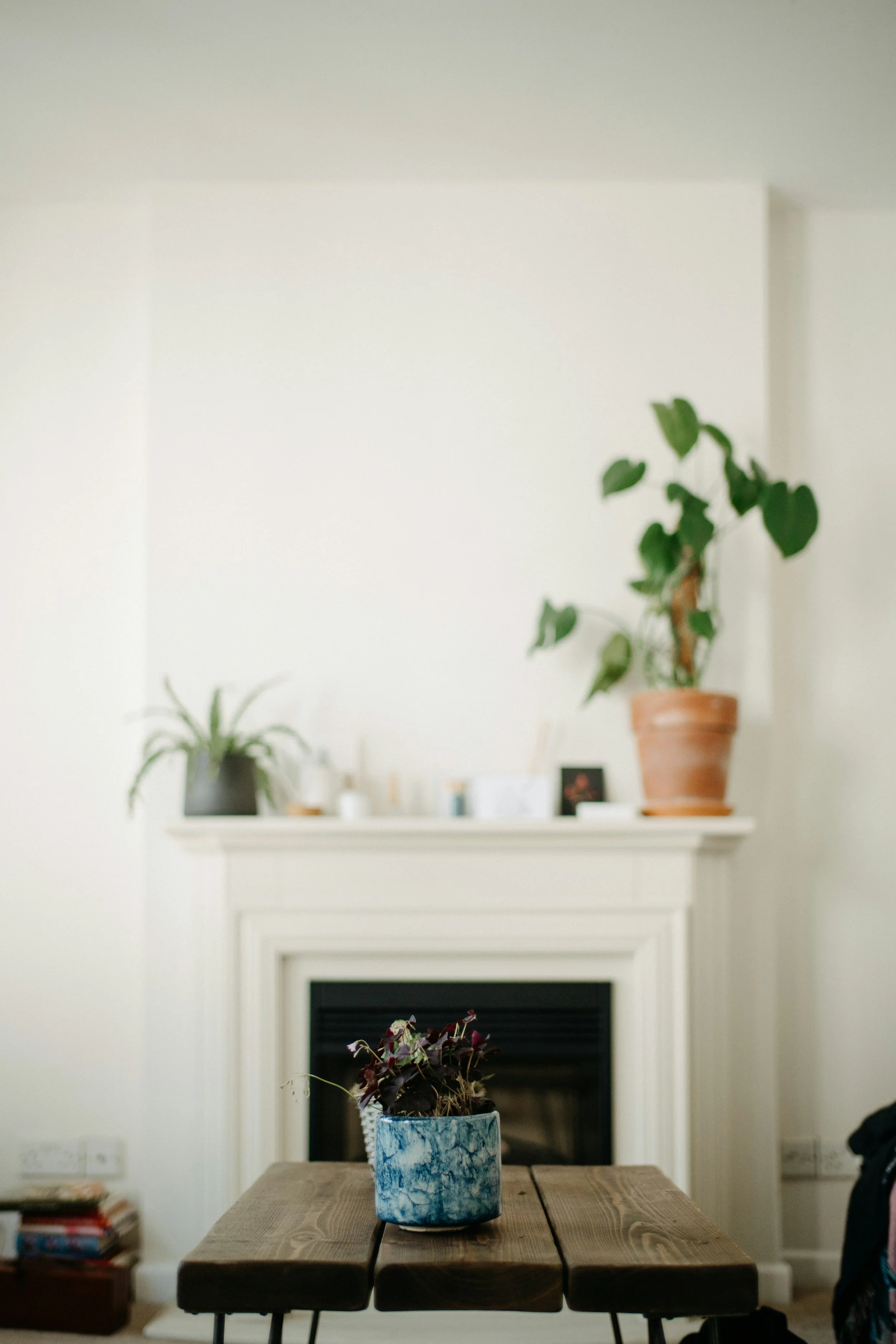 Table with a plant in front of a fireplace | Extended Couples Therapy Sessions in Cary, NC