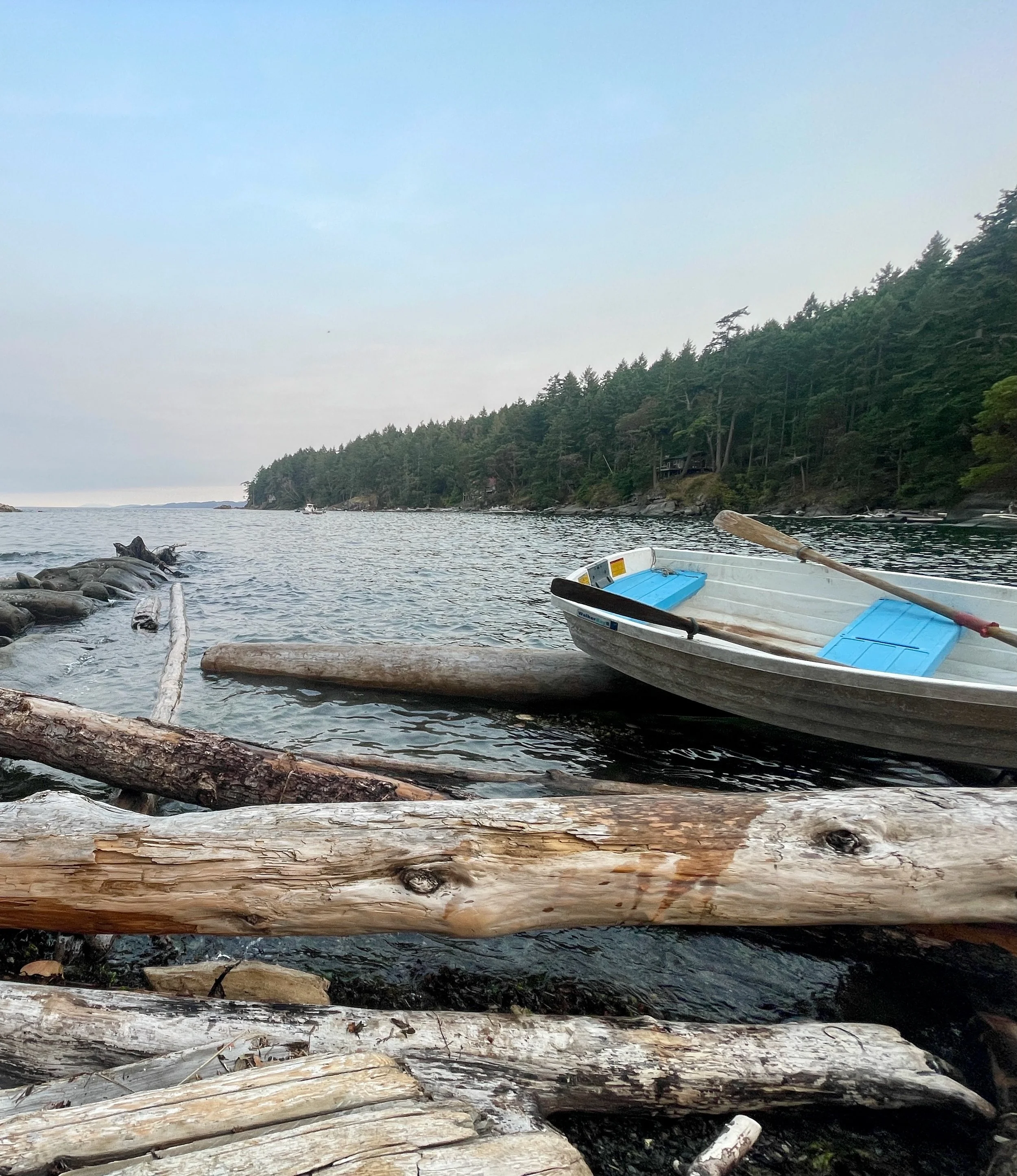 Drift logs destroying intertidal ecosystems: research