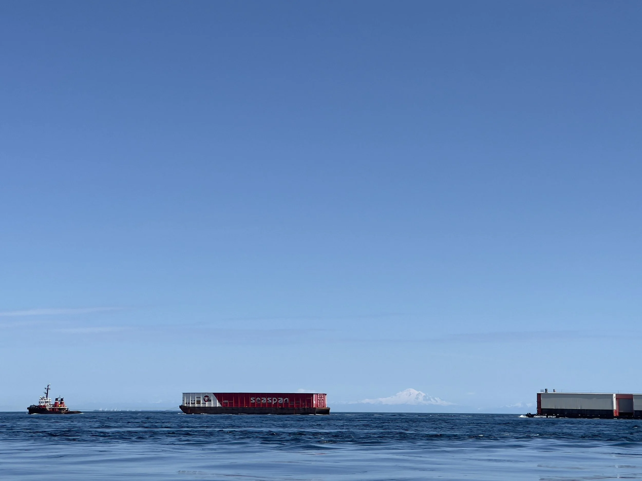 Avoidance, confusion, solitude:  Whales react to rising noise pollution