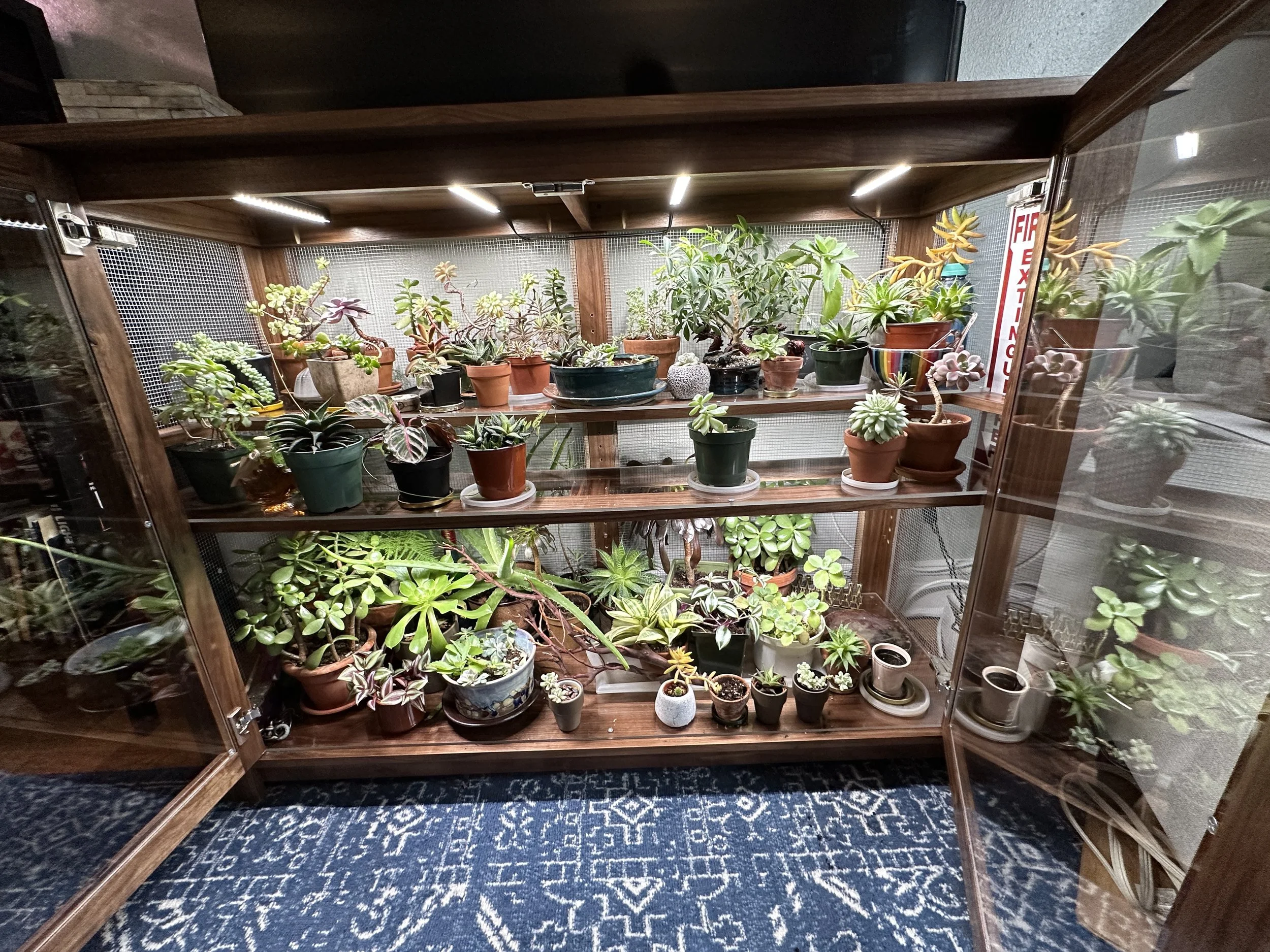So many plants!