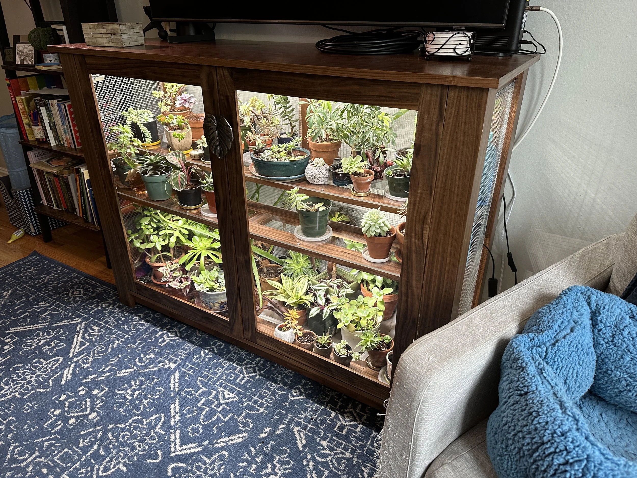 Plants cozy inside