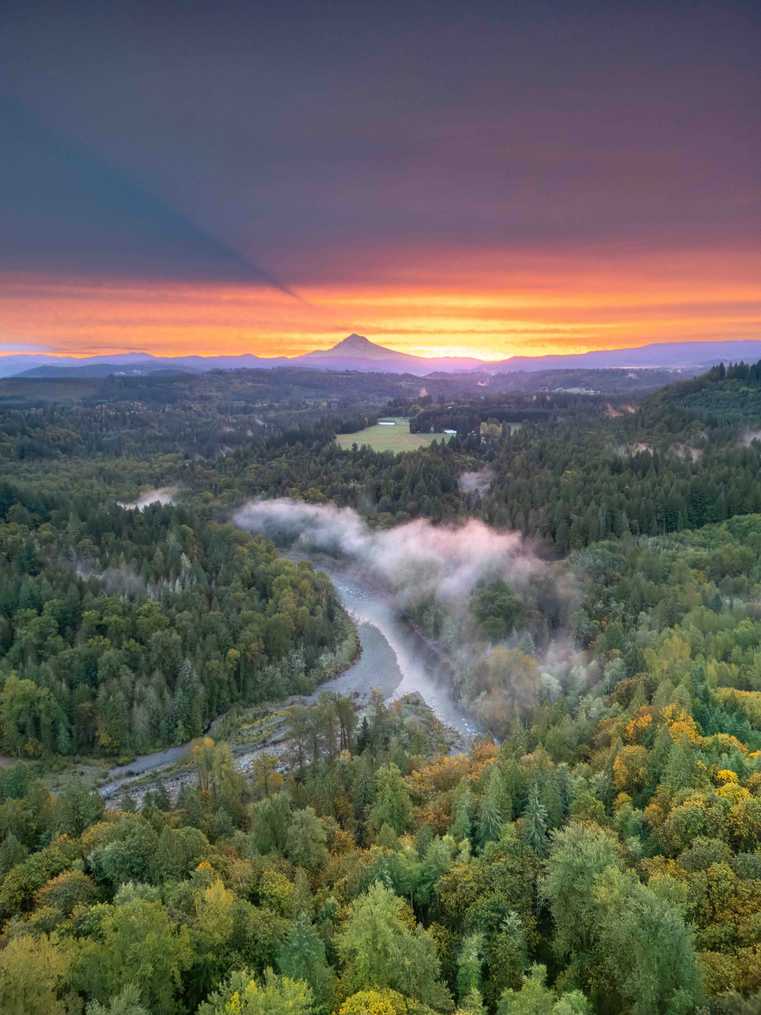 jonsurd drone 1-1.jpg