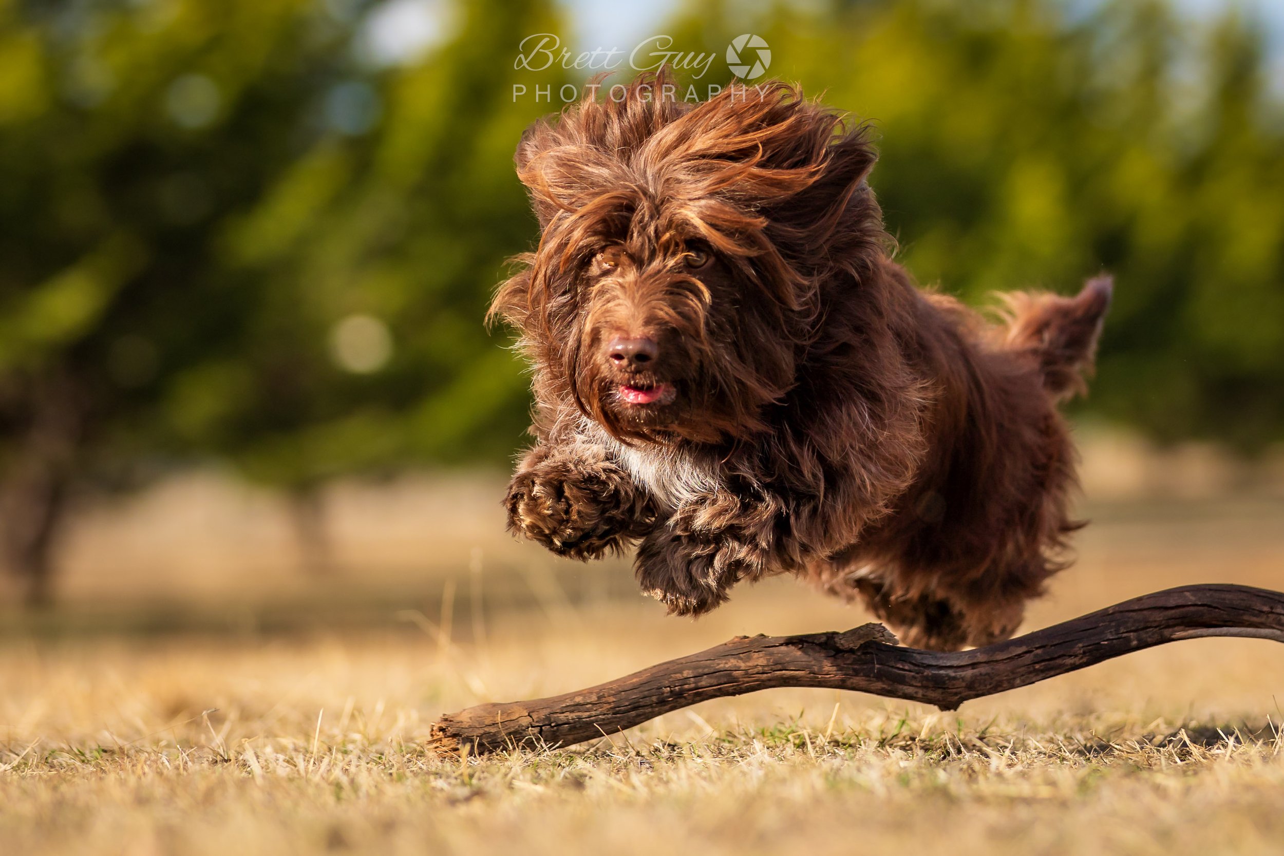 _40A1357-Edit.jpg