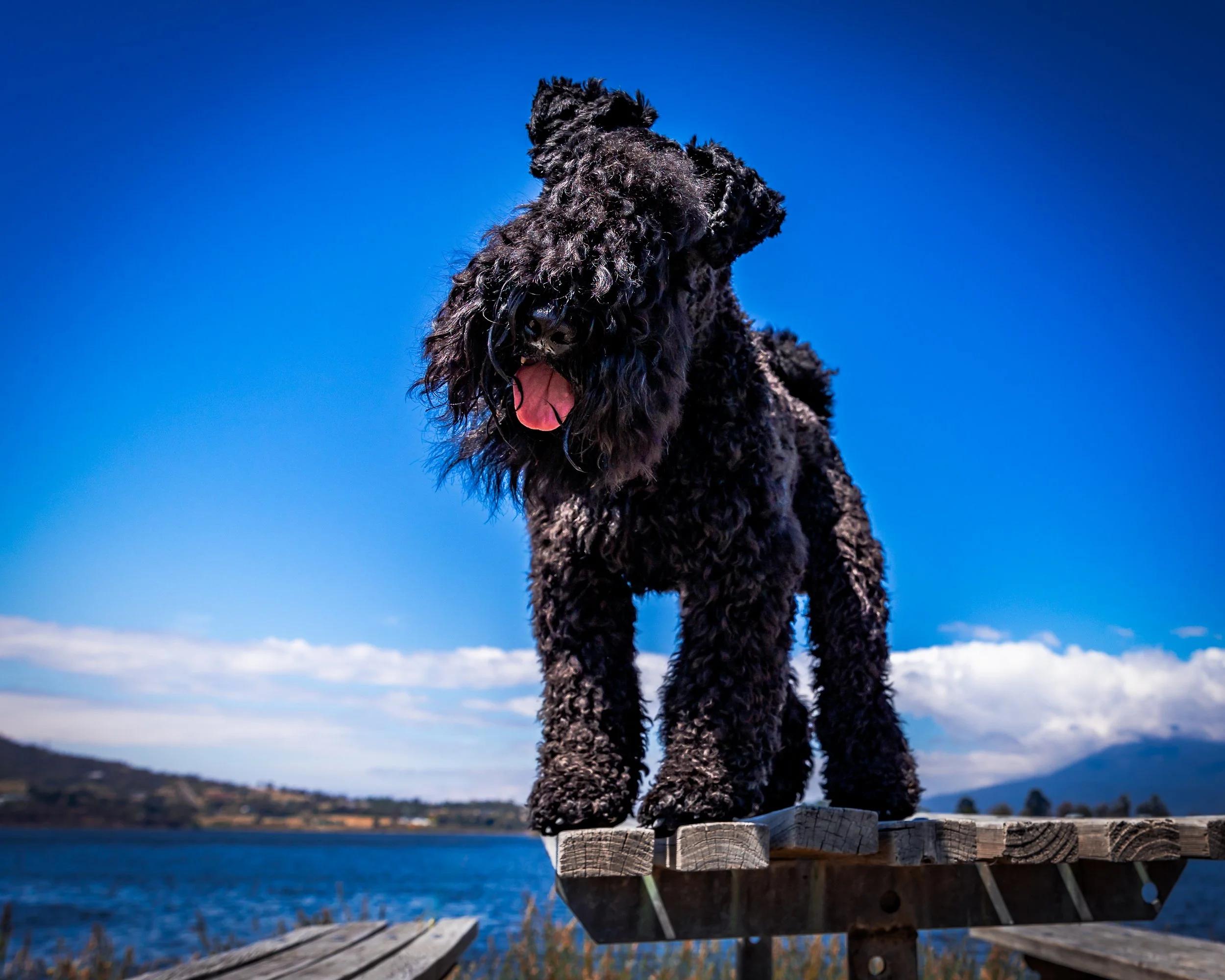 _40A7820-Edit.jpg