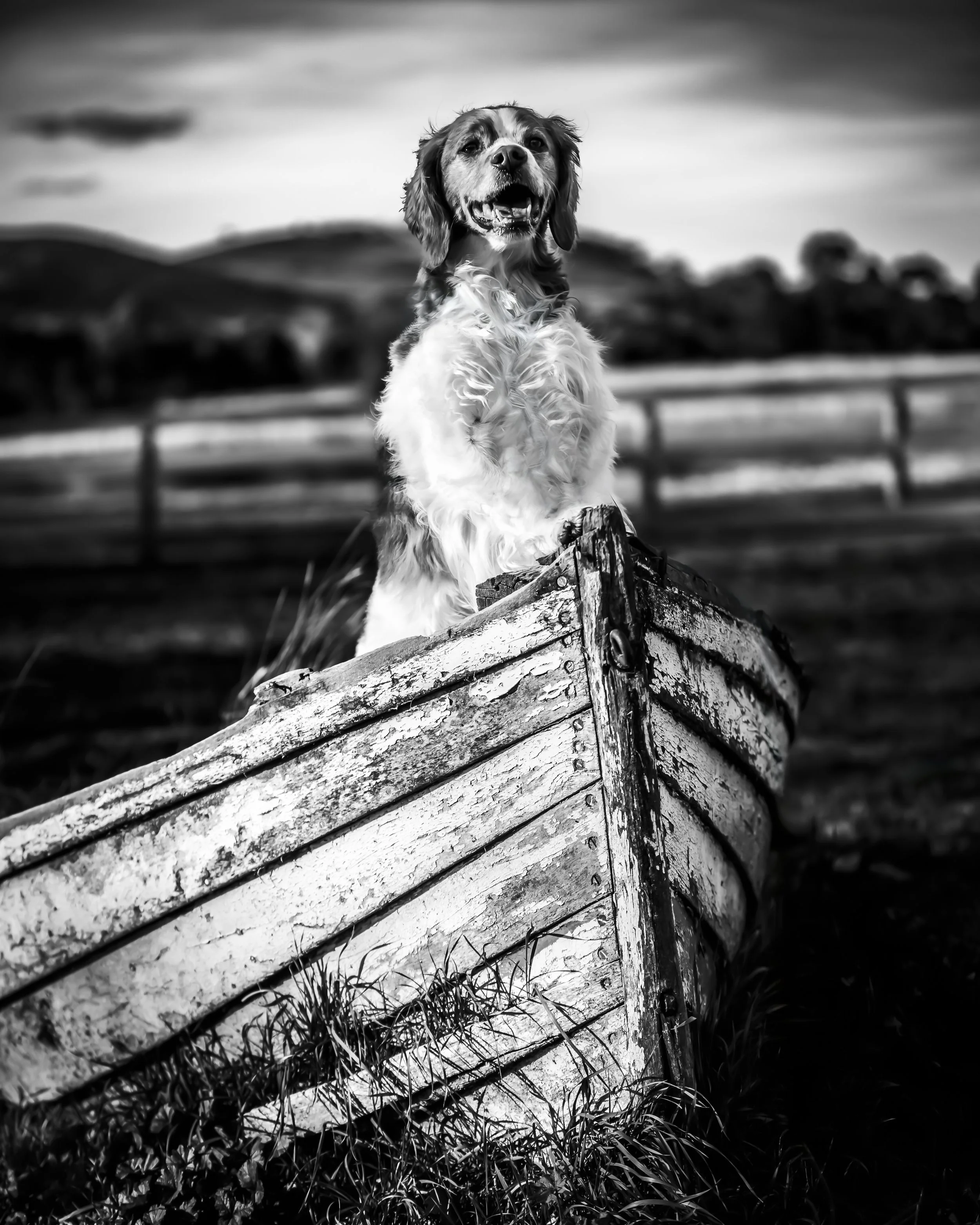 _40A7098-Edit-Edit.jpg