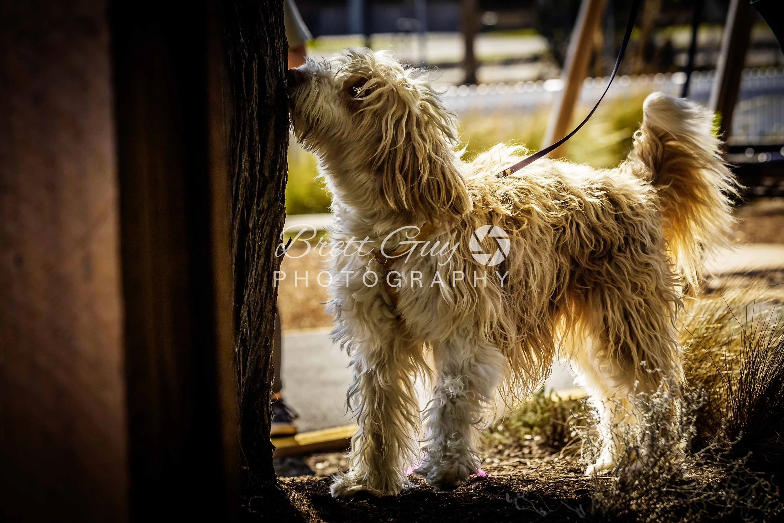 217