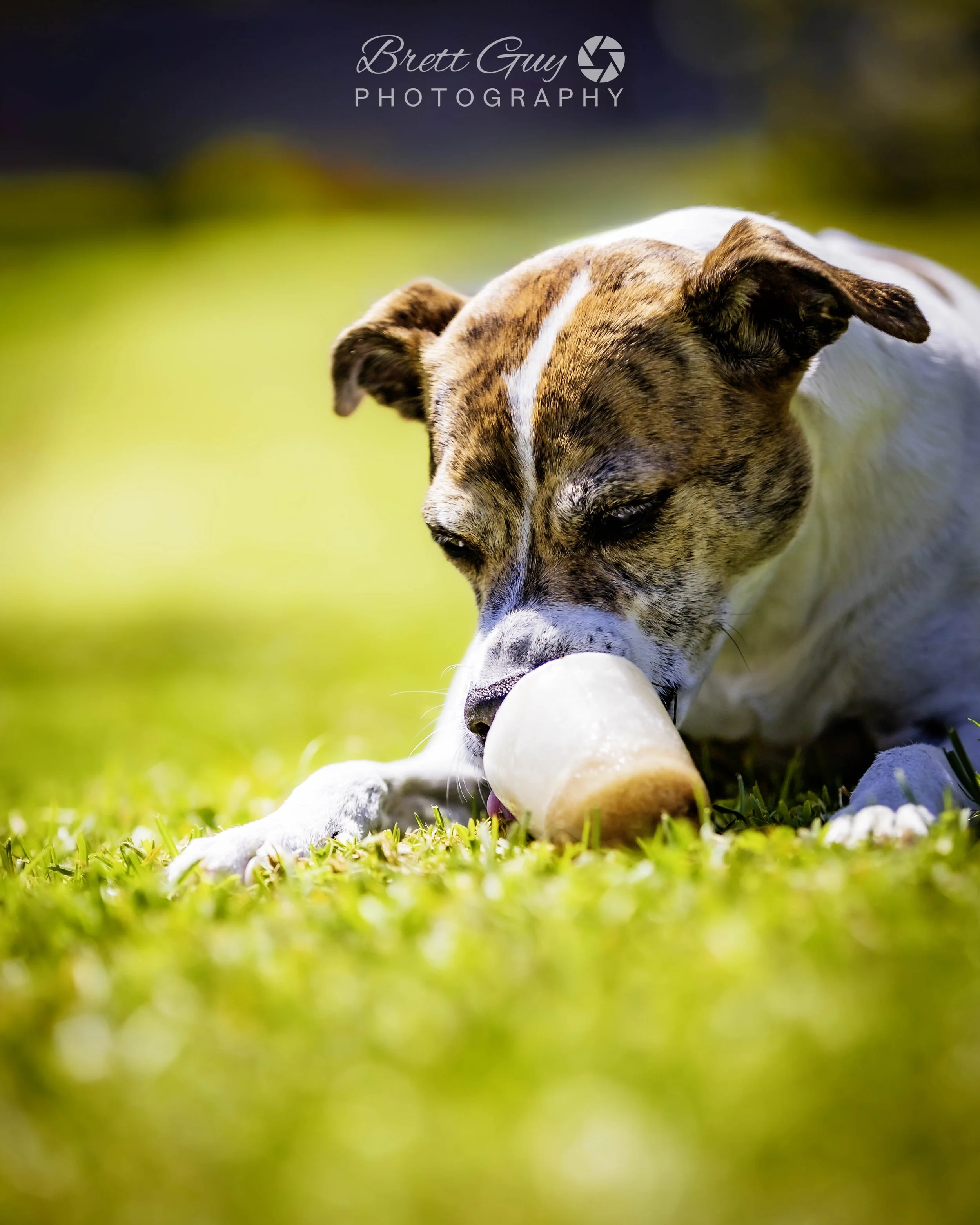 _40A2412-Edit.jpg