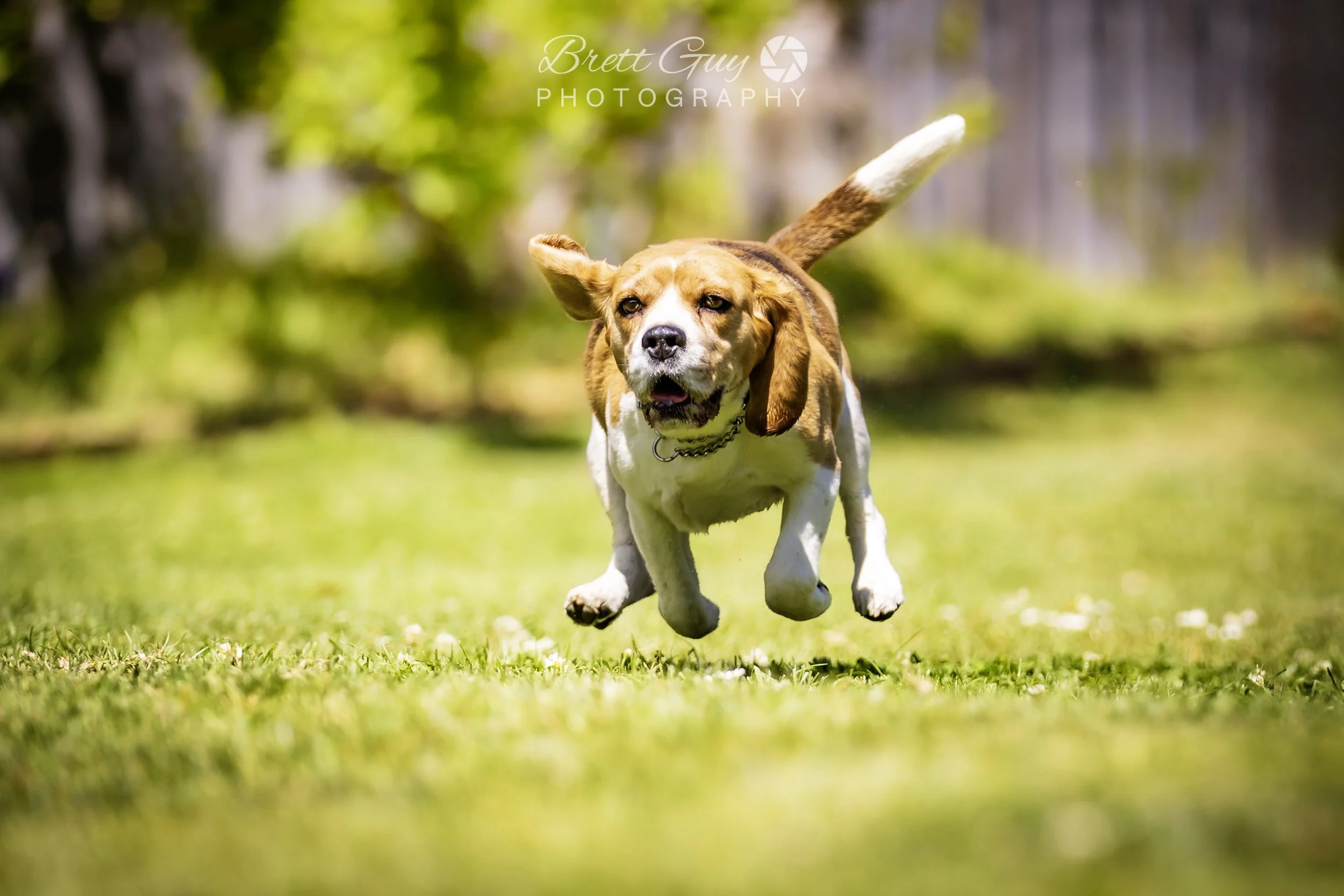 _40A2250-Edit.jpg
