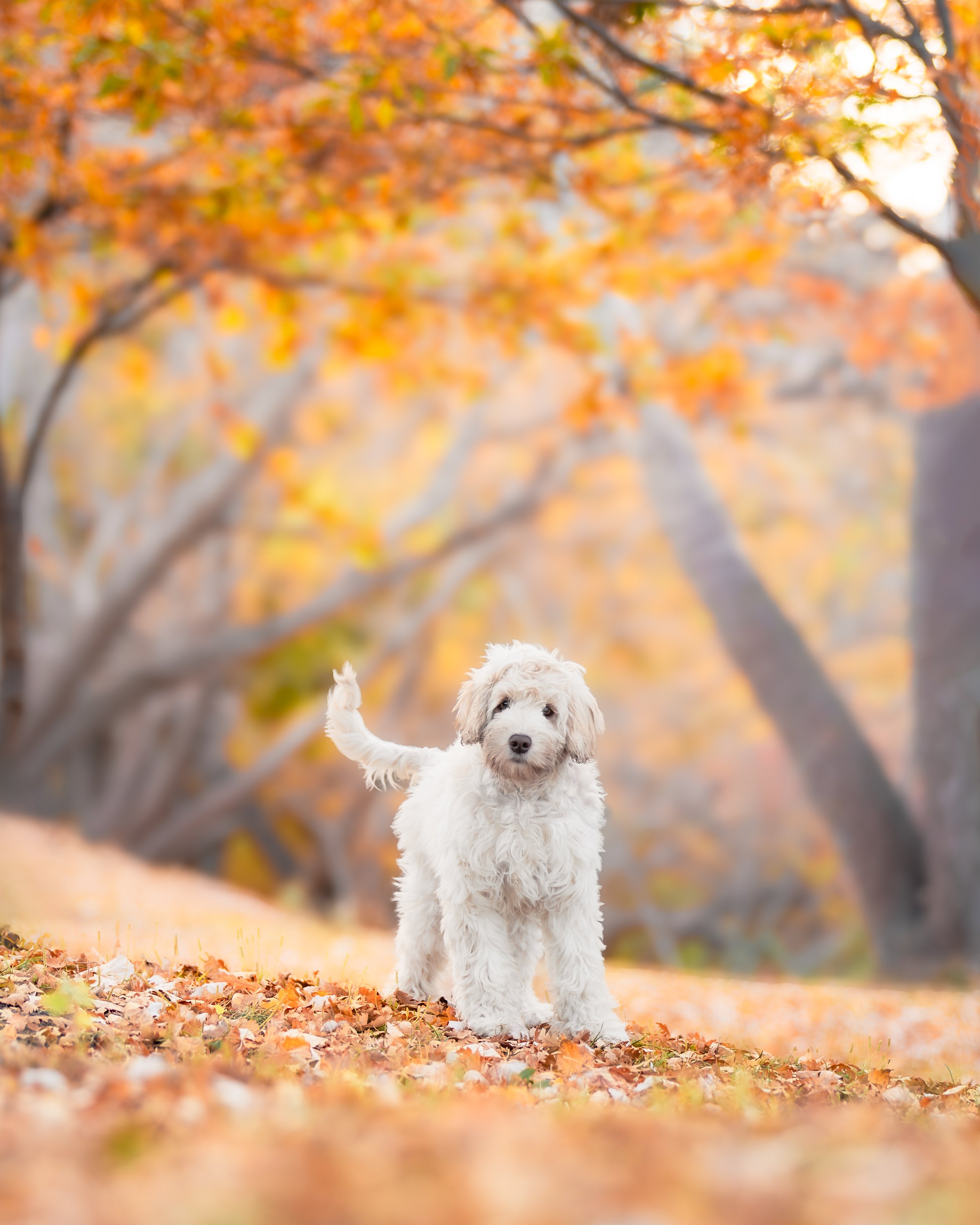 _40A6566-Edit.jpg