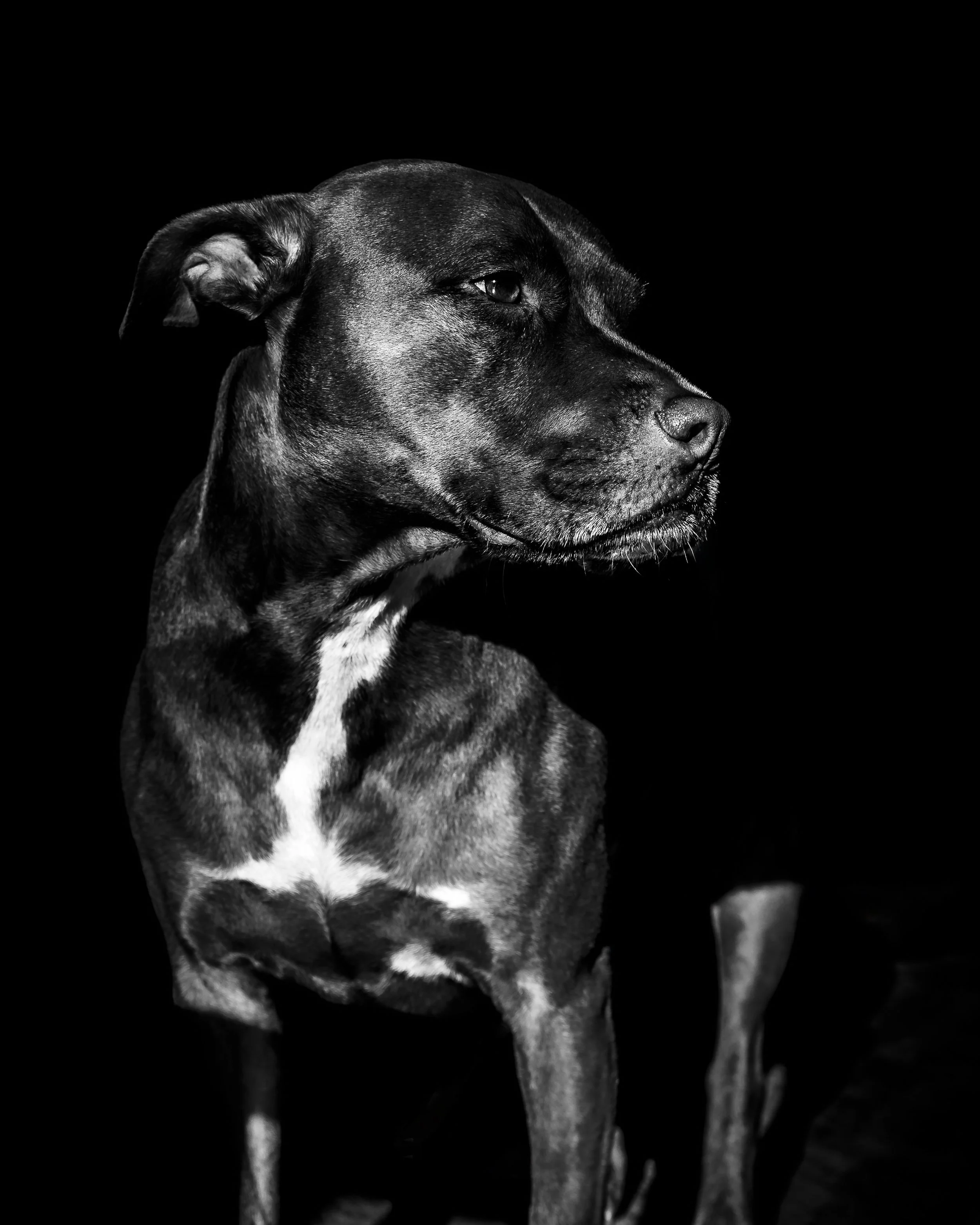 _40A9466-Edit.jpg