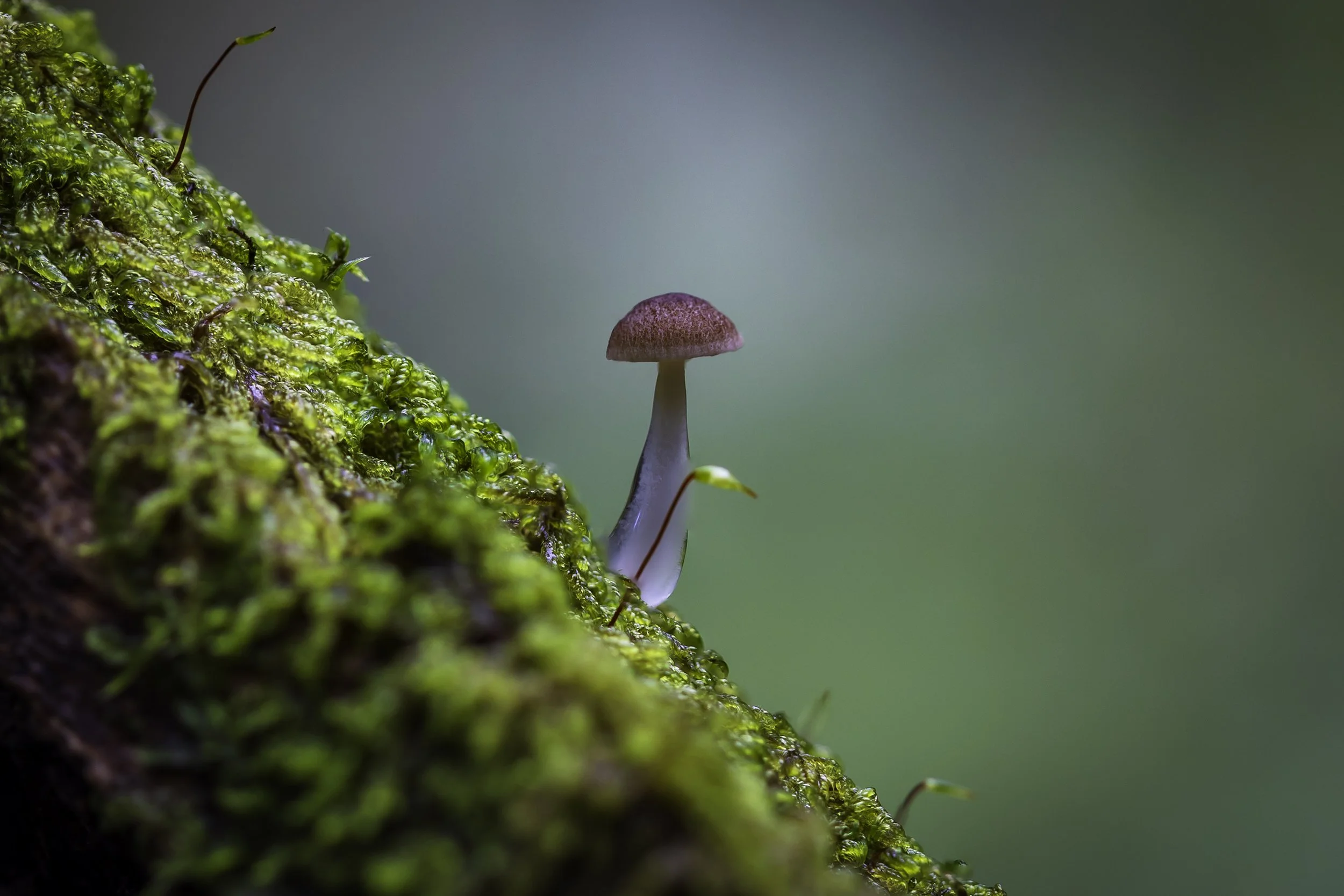 _40A0911-Edit-Edit.jpg