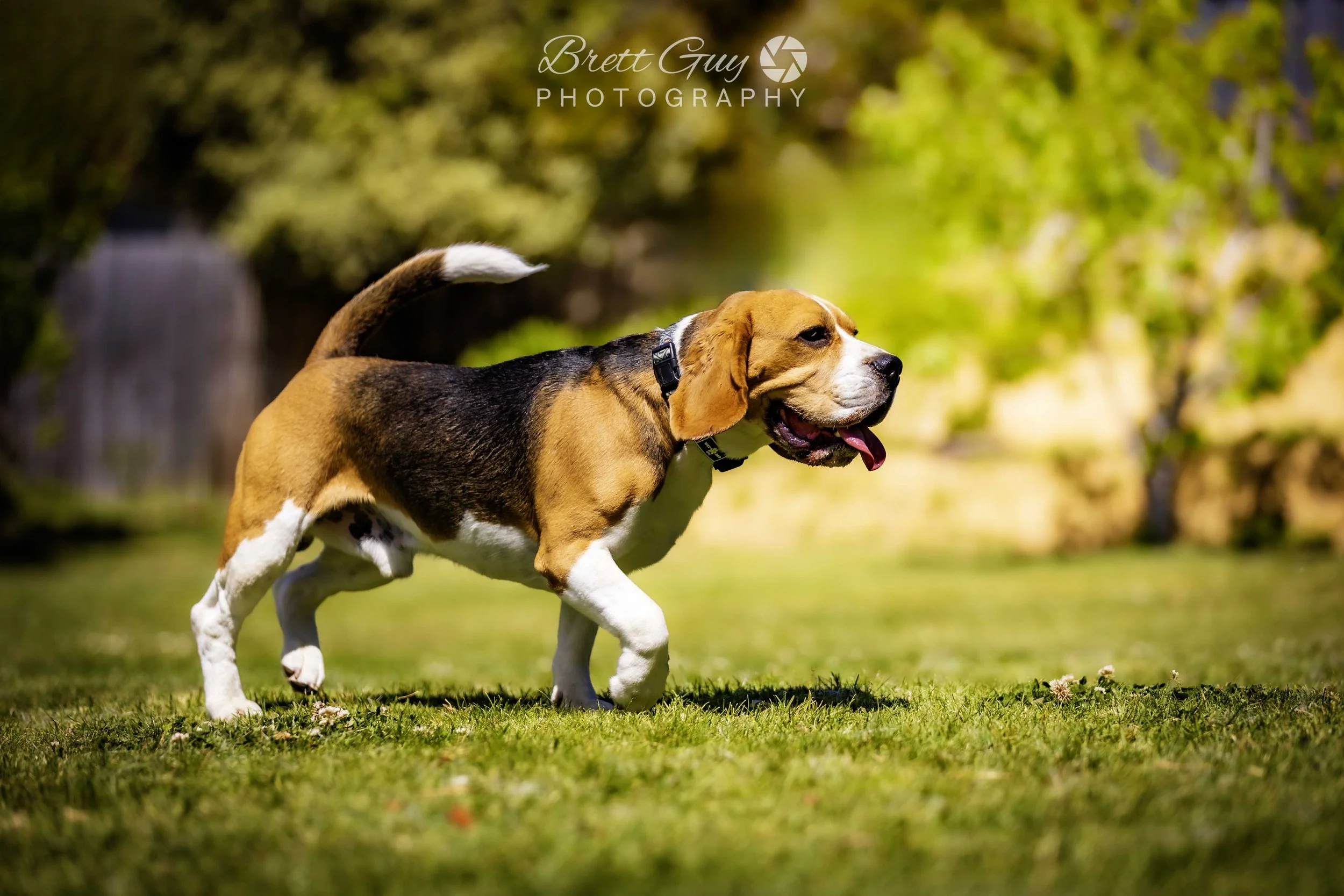 _40A2362-Edit.jpg