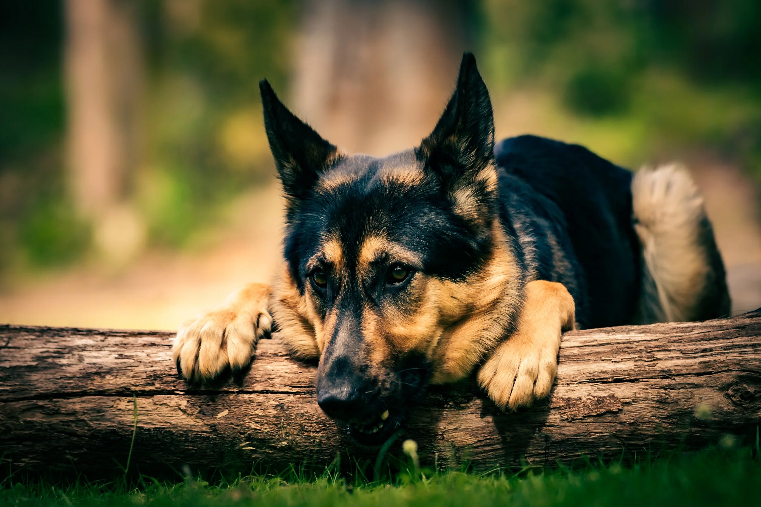 _40A7209-Edit.jpg