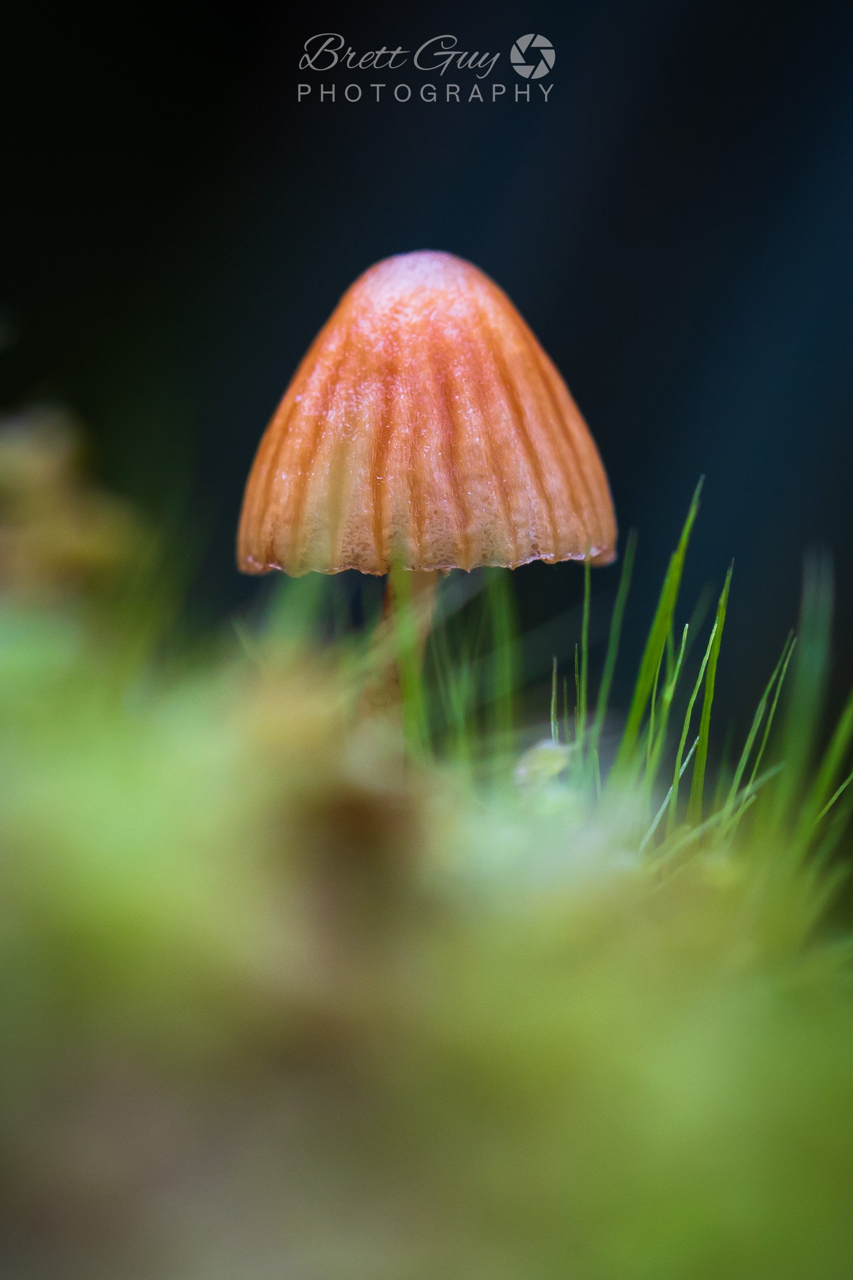 _40A2743-Edit.jpg