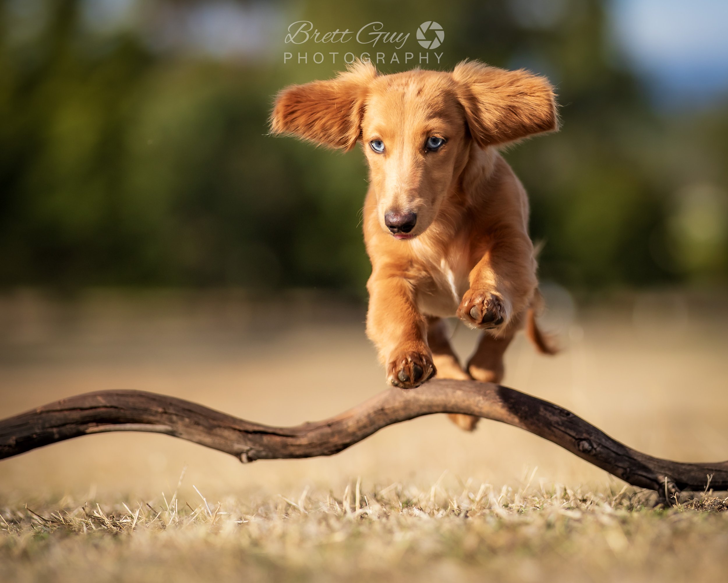 _40A1327-Edit.jpg