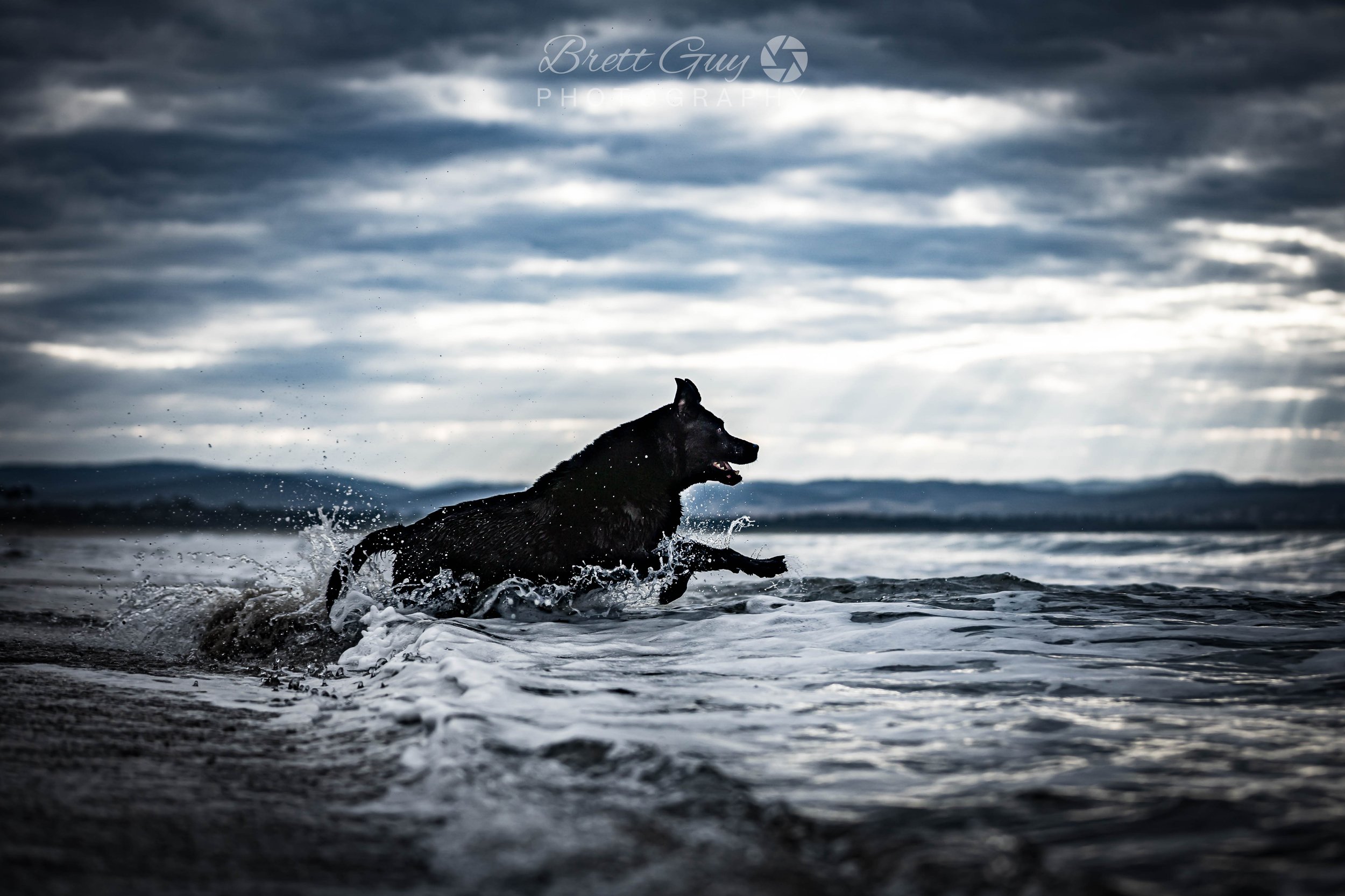 _40A9866-Edit.jpg