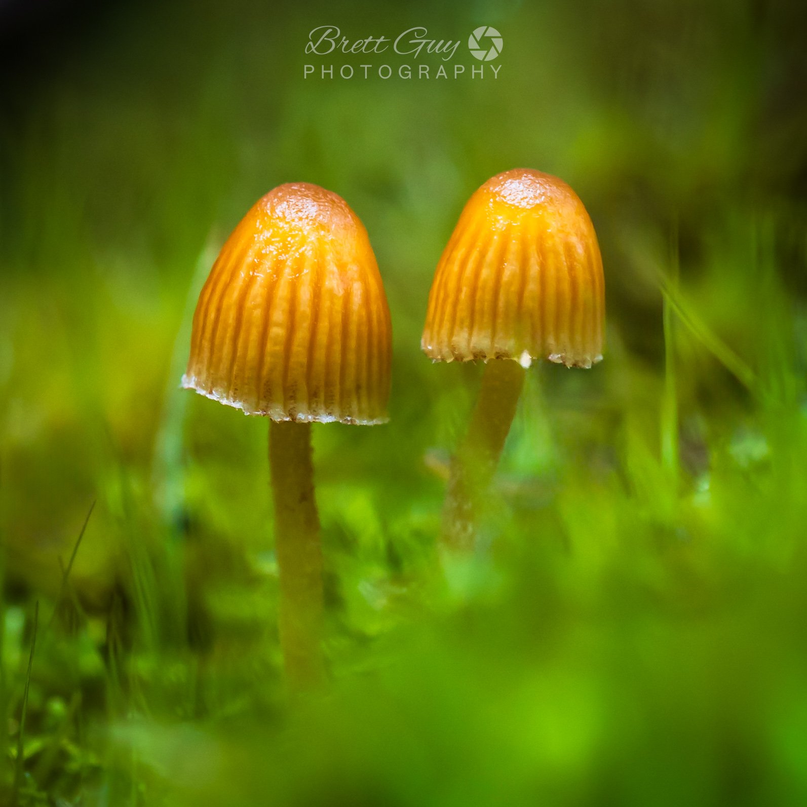 _40A2768-Edit.jpg