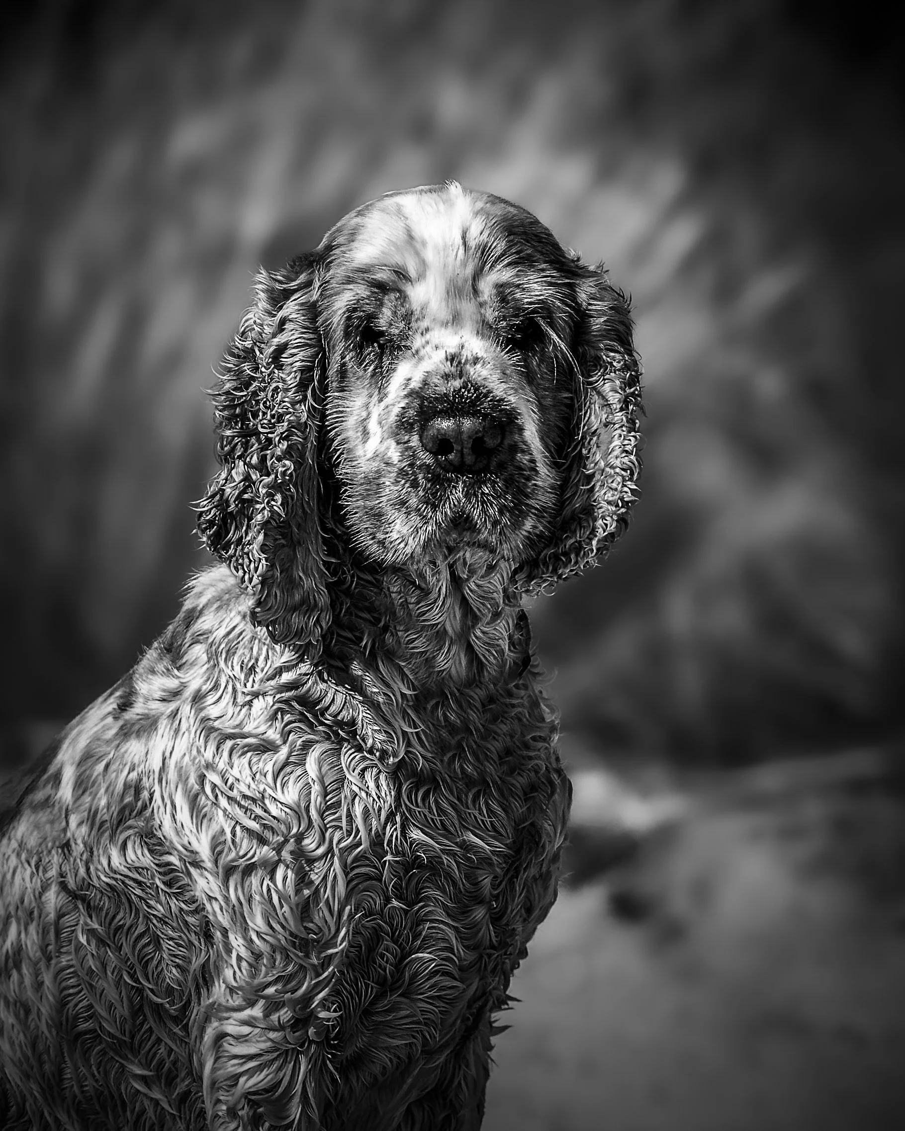 _40A4337-Edit.jpg