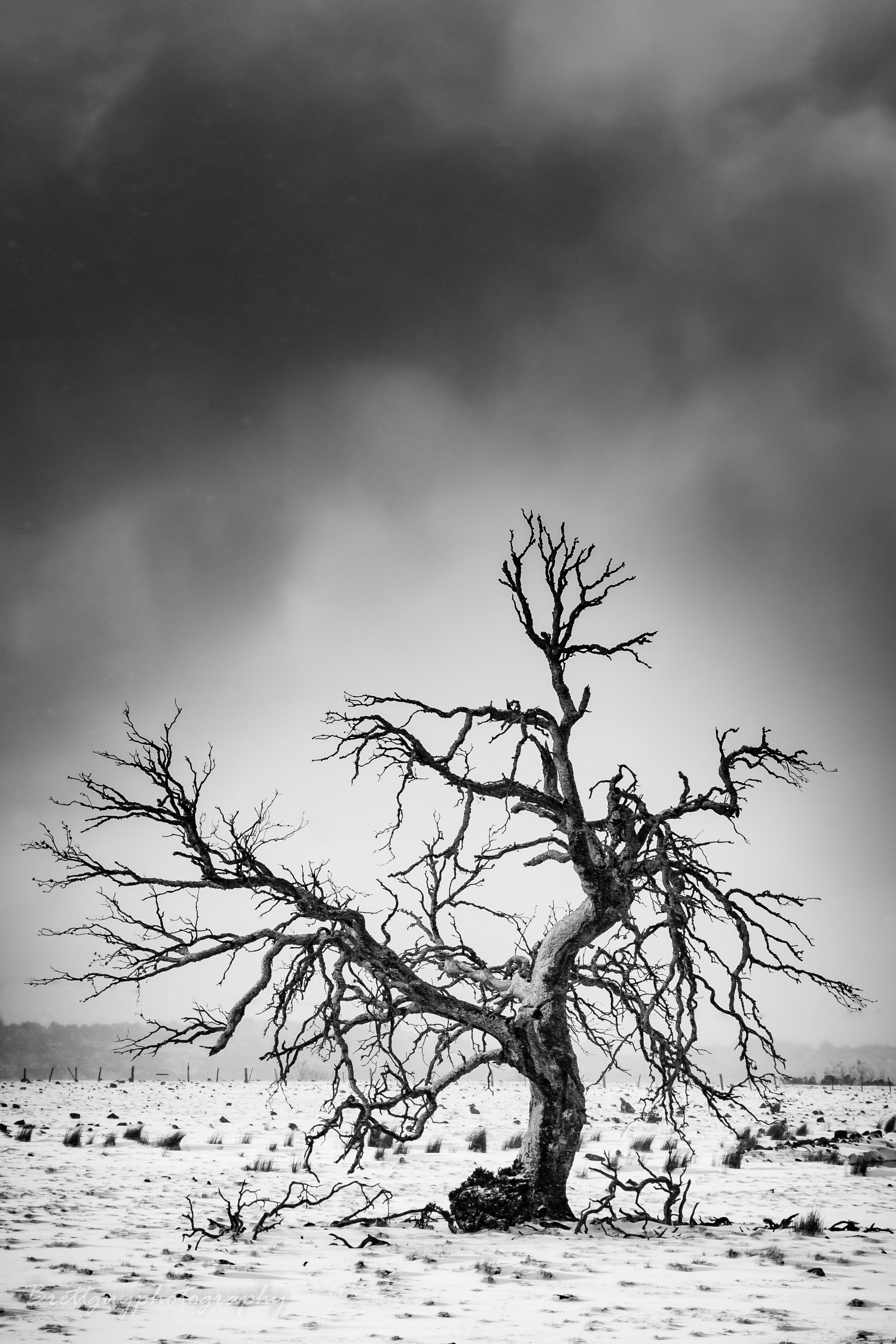 'The Skeleton', Tasmanian Highlands