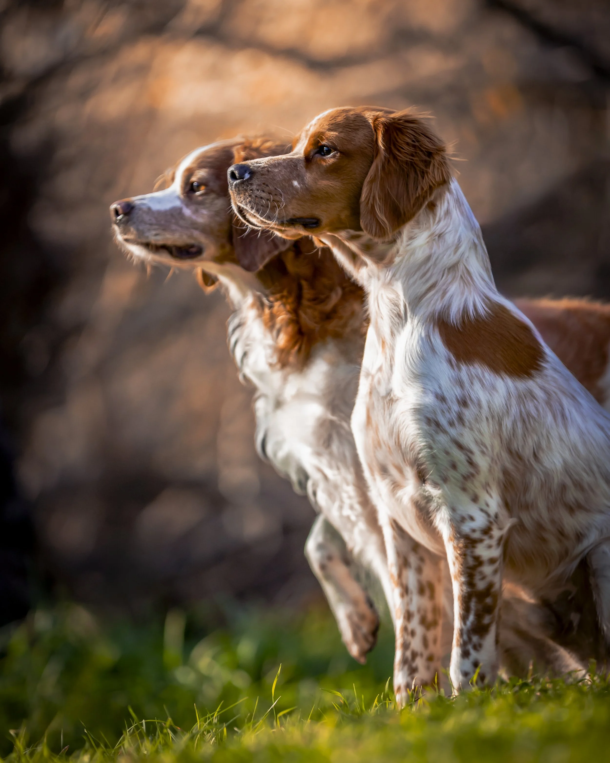 _40A6897-Edit-Edit.jpg