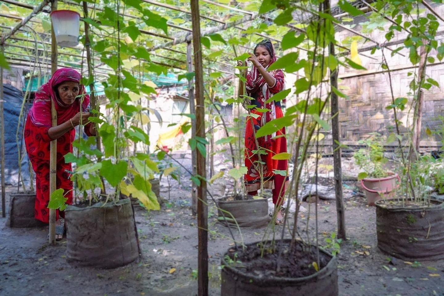 19-year-old Tasmin took the chance to participate in climate smart agricultural training -- and ran with it.

She has now turned her agricultural and entrepreneurial skills into a diverse set of small businesses that are supporting her whole family. 