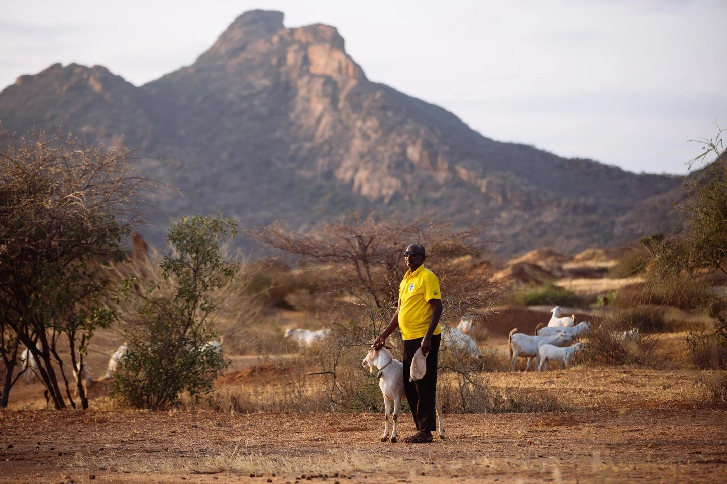 On International Day of People with Disability, we're acknowledging the resilience and contributions of people with disability across the globe. 

Through the AHP drought response in Kenya, Mamo Godana Guyo and other members of the Turbi Disability G