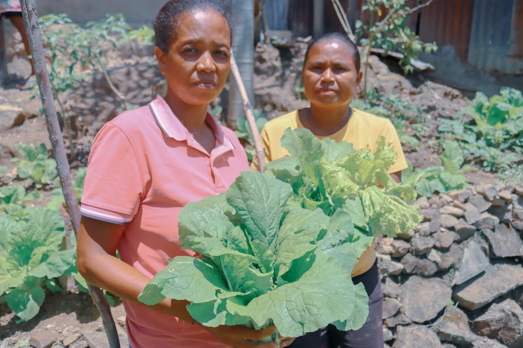 Beyond the garden bed: Cultivating resilience in Timor-Leste
