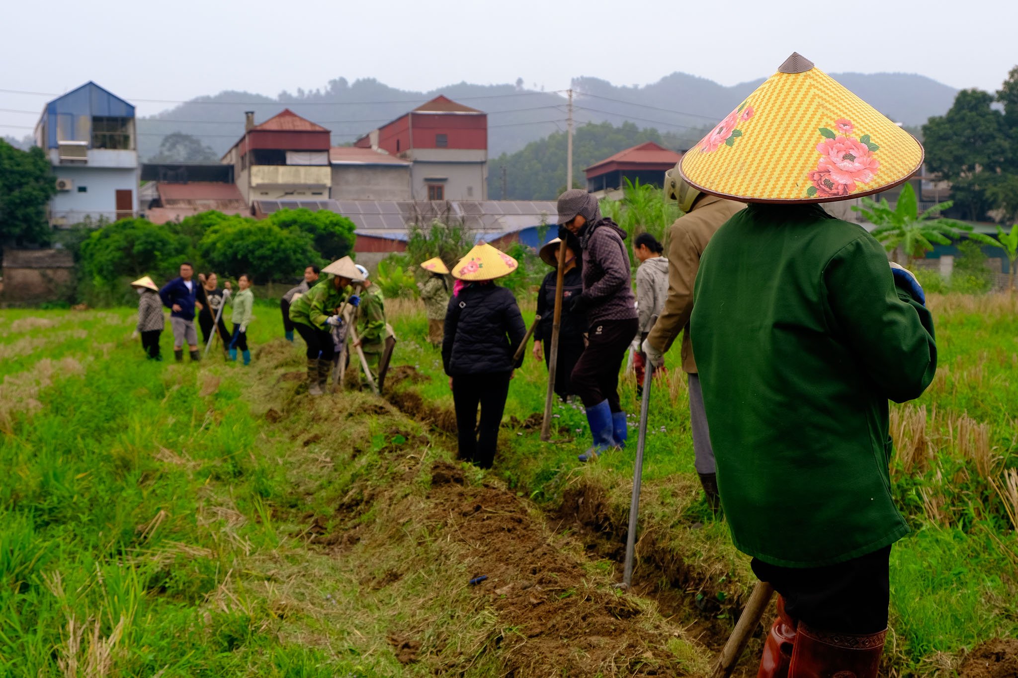Rebuilding stronger after typhoons in Viet Nam