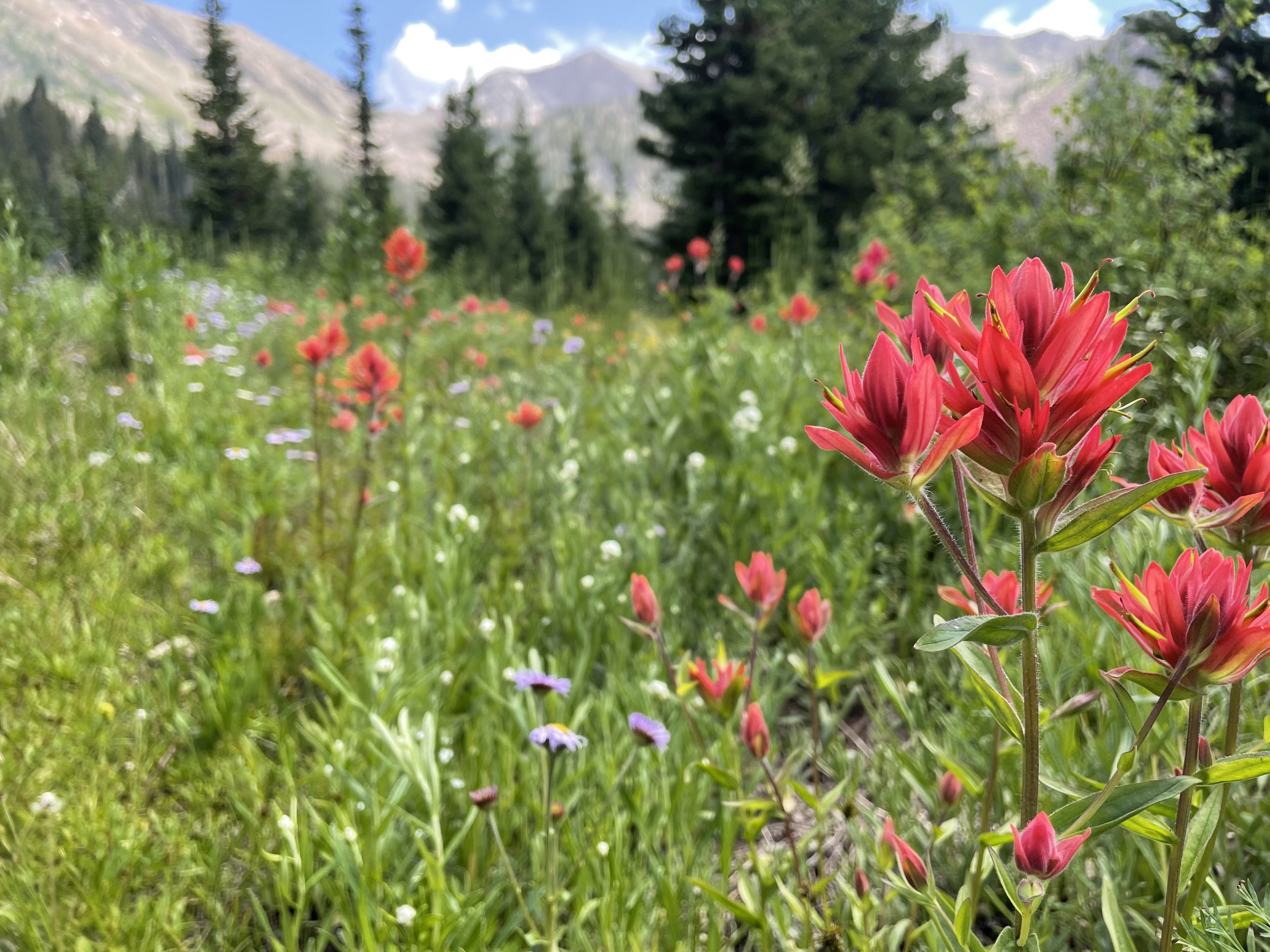 NATURE WALK & BOOK SIGNING