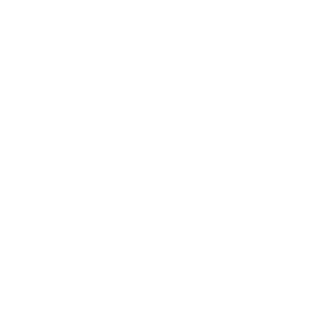 Assessment Solutions