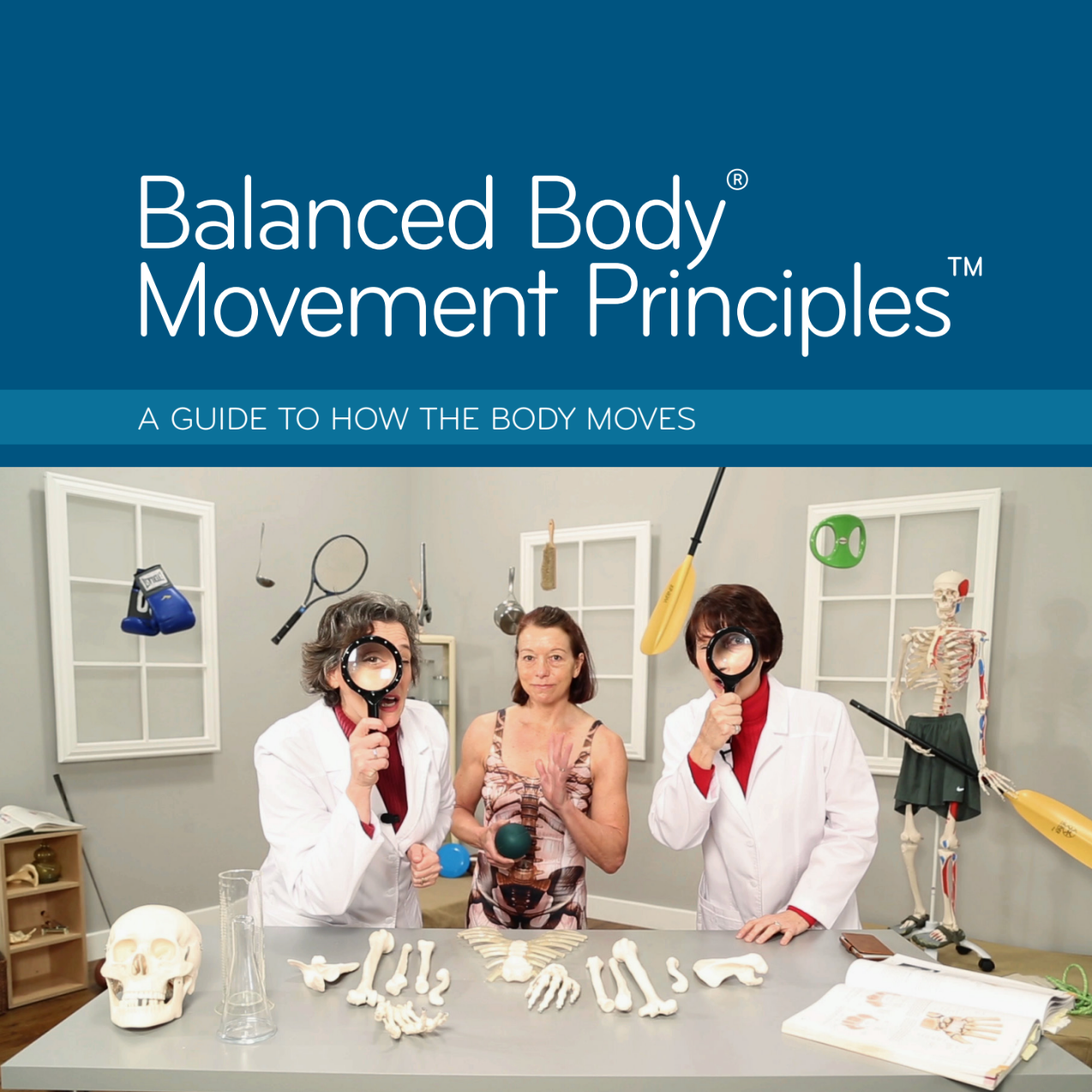 Movement Principles Manual