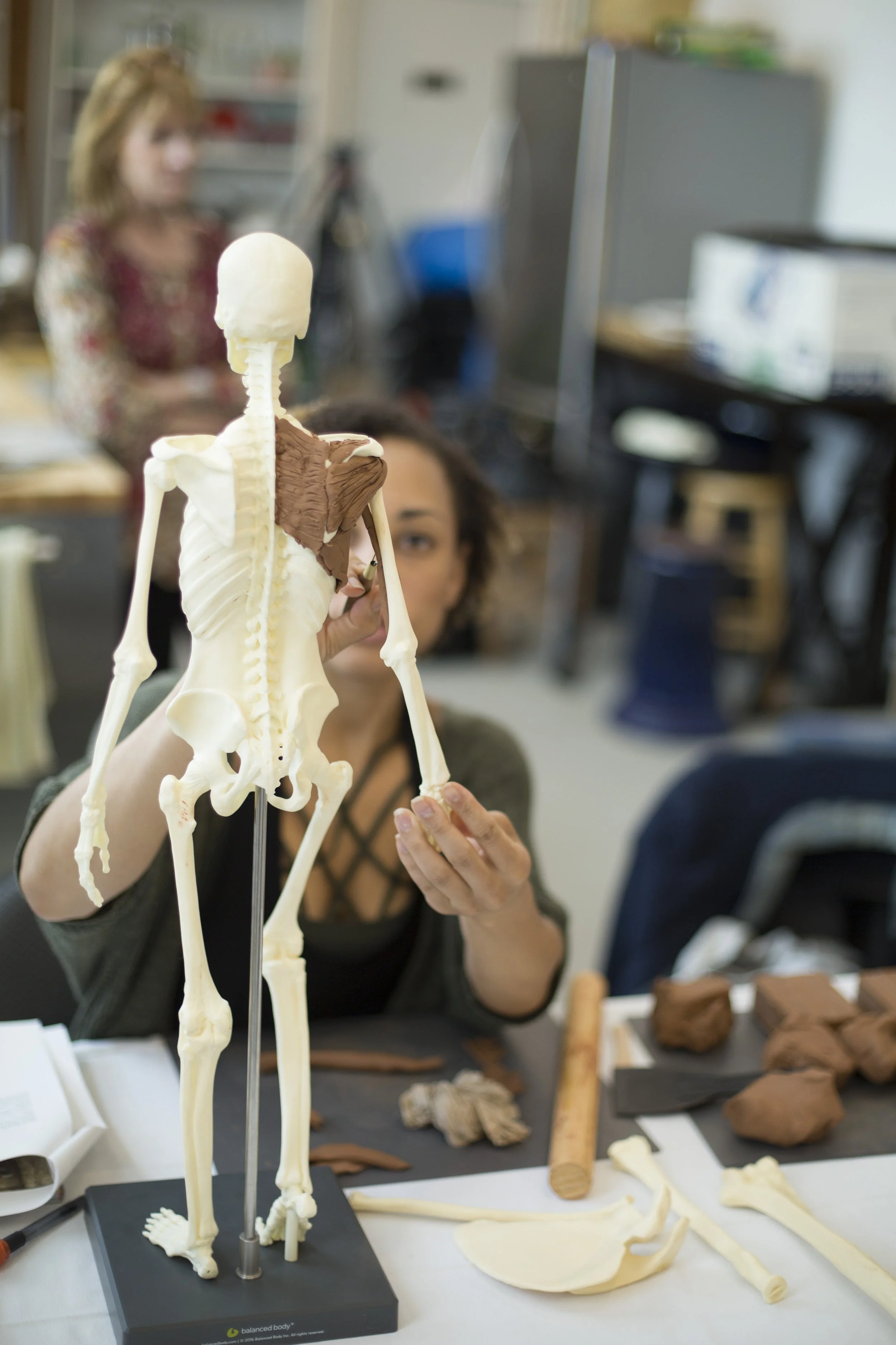 Anatomy in 3D: June 6-7, 2026