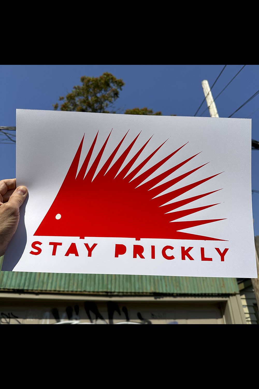 PRICKLY 1000 copy.jpg