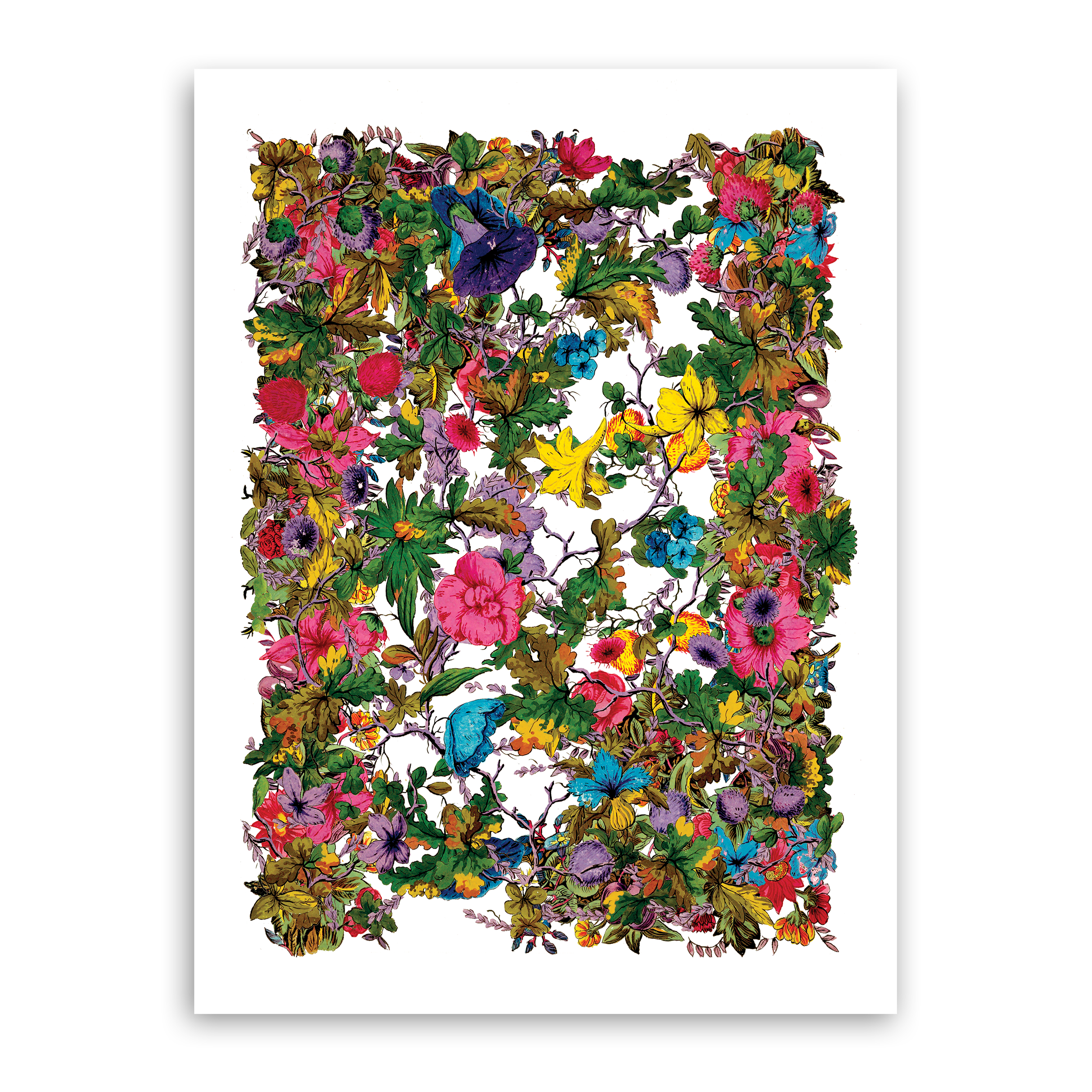 FLOWERS AND FLOWERS