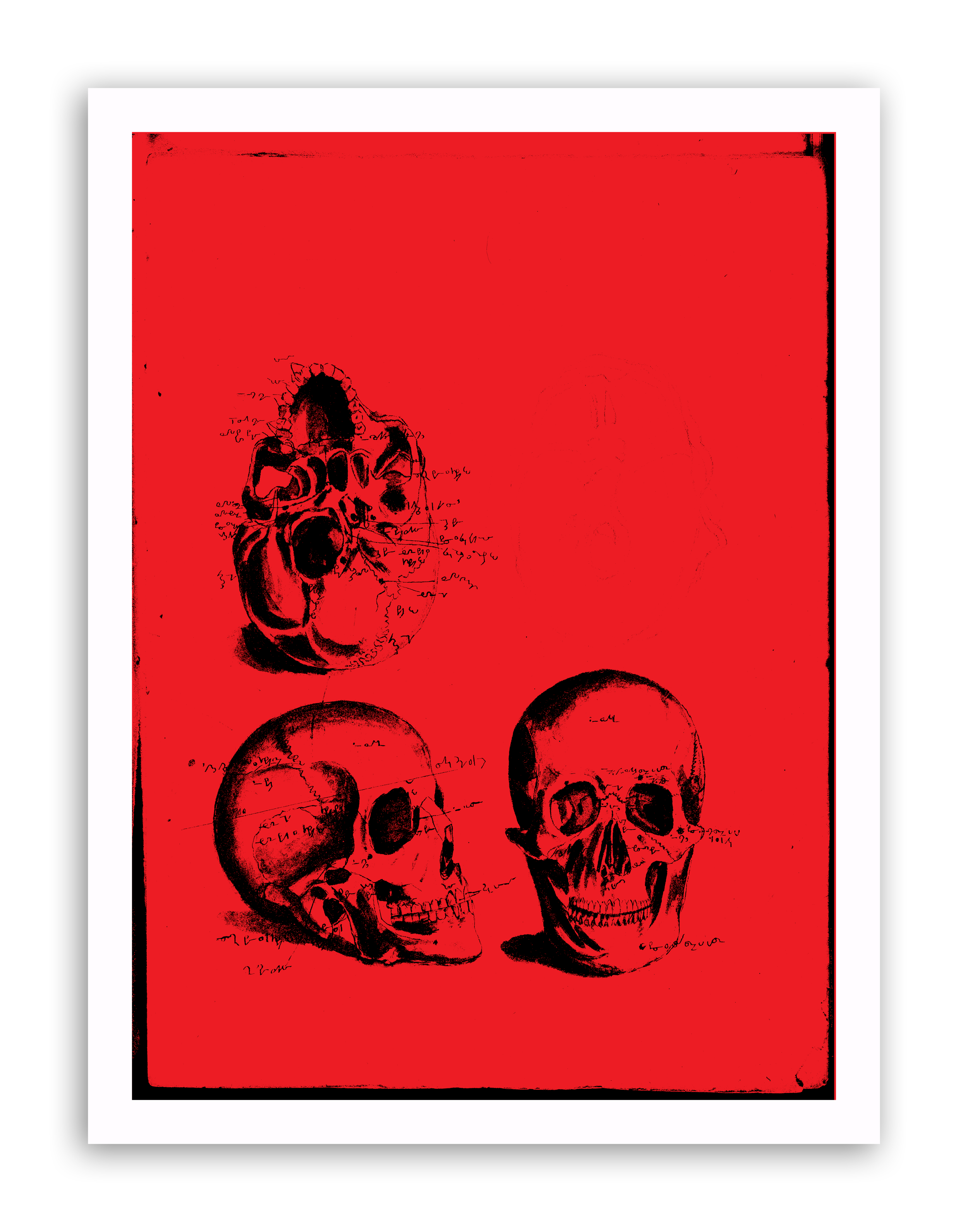 RED SKULLS