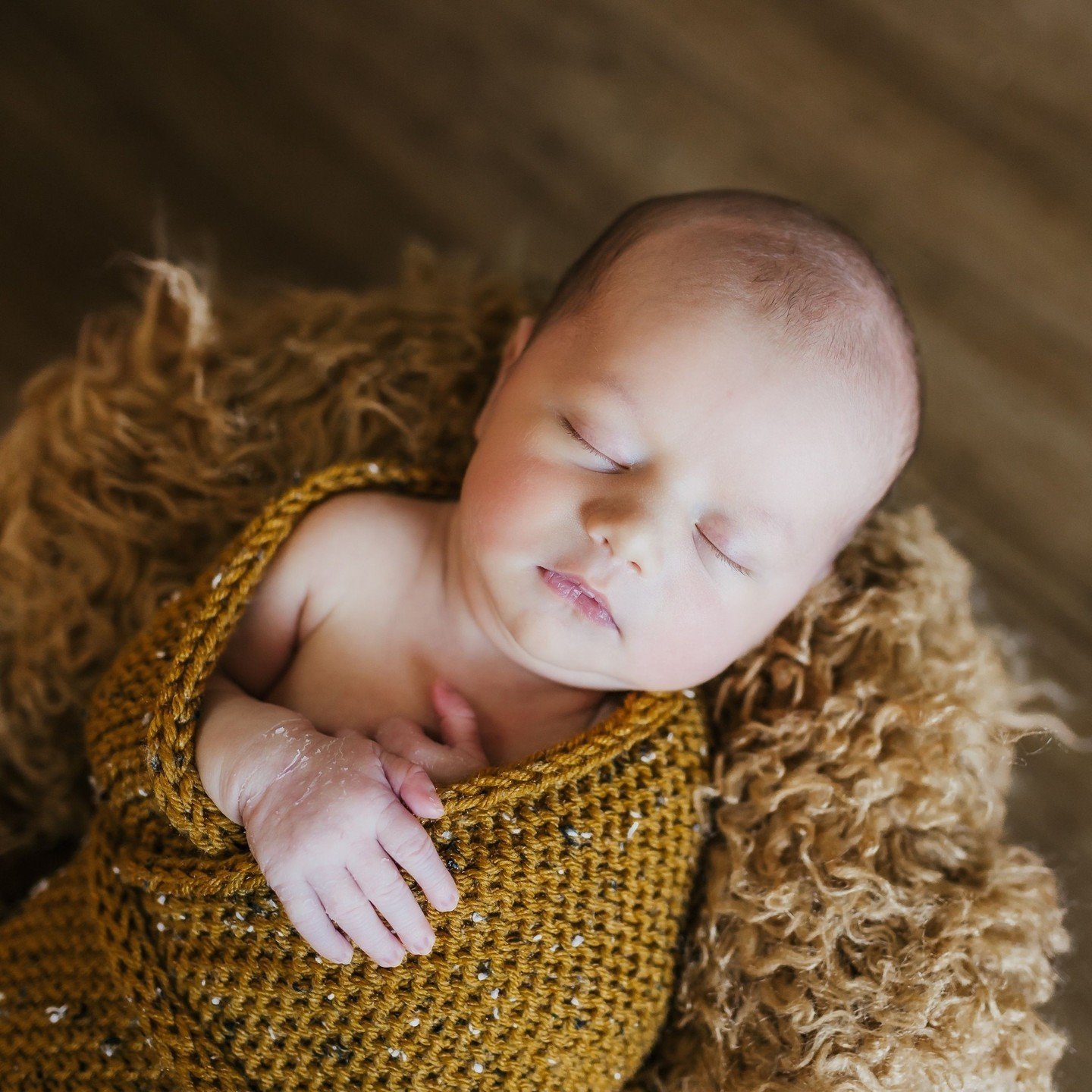 Lately, I have been asked if I can offer newborn minis. Unfortunately, this is not an option. Newborn photos can not be rushed or time controlled; a baby can not understand photos and time, and it's not like a toddler who can be entertained and distr
