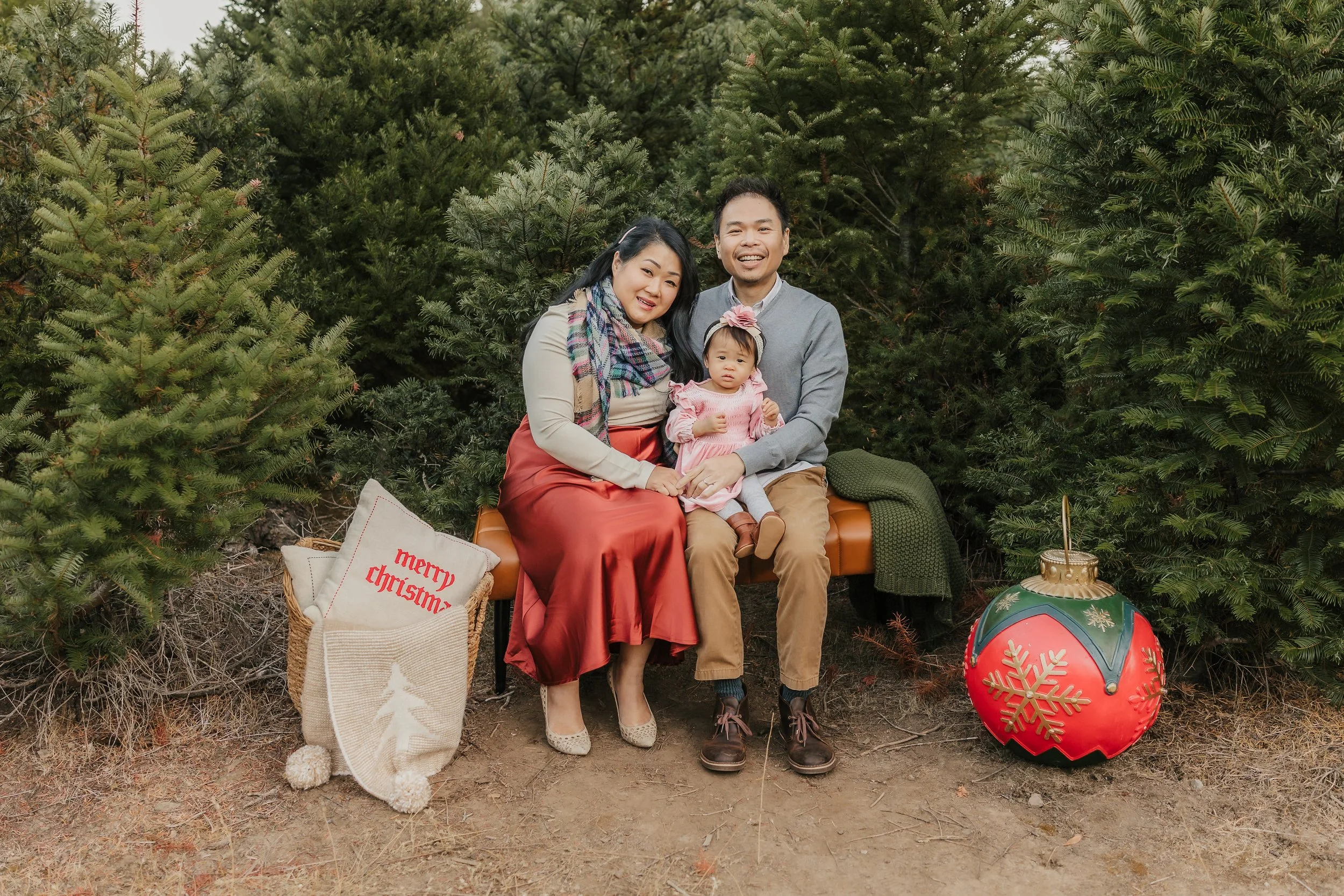 Tree Farm Mini Sessions in Bay Area, CA.