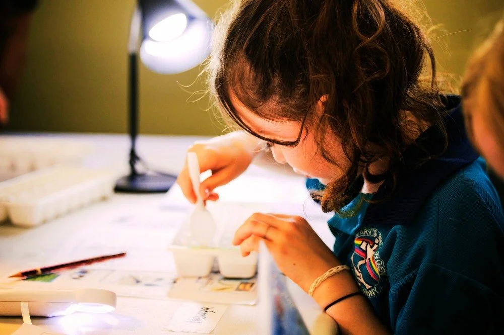 Macro Muster hero images_3.jpg