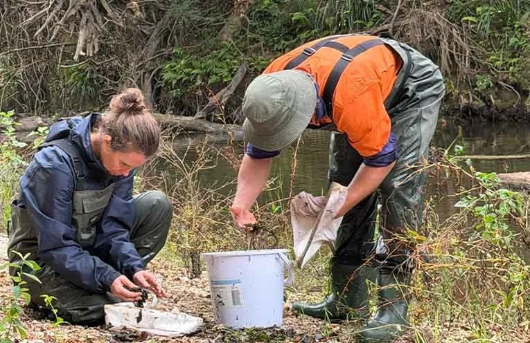 Citizen scientists return to Nambucca catchment for Macro Muster