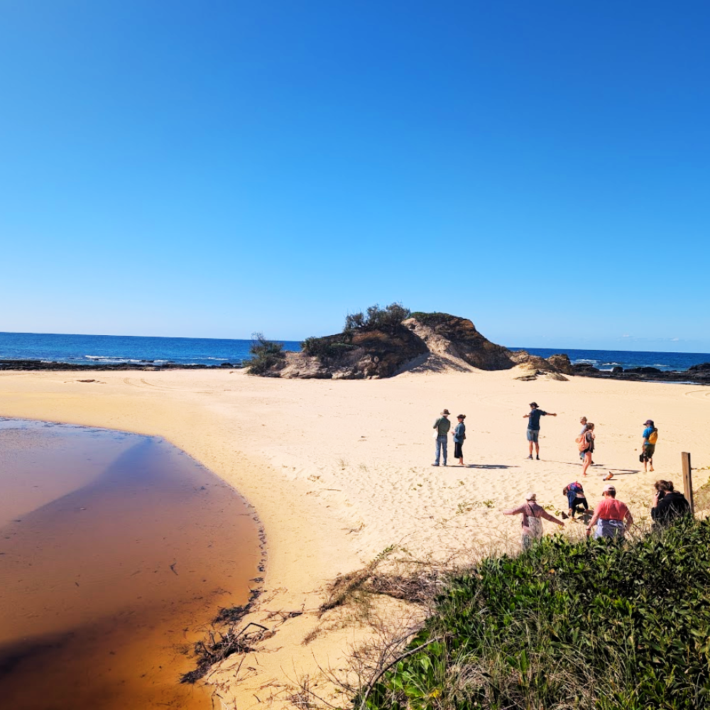 OzGREEN launches free bushwalk series across Coffs Coast