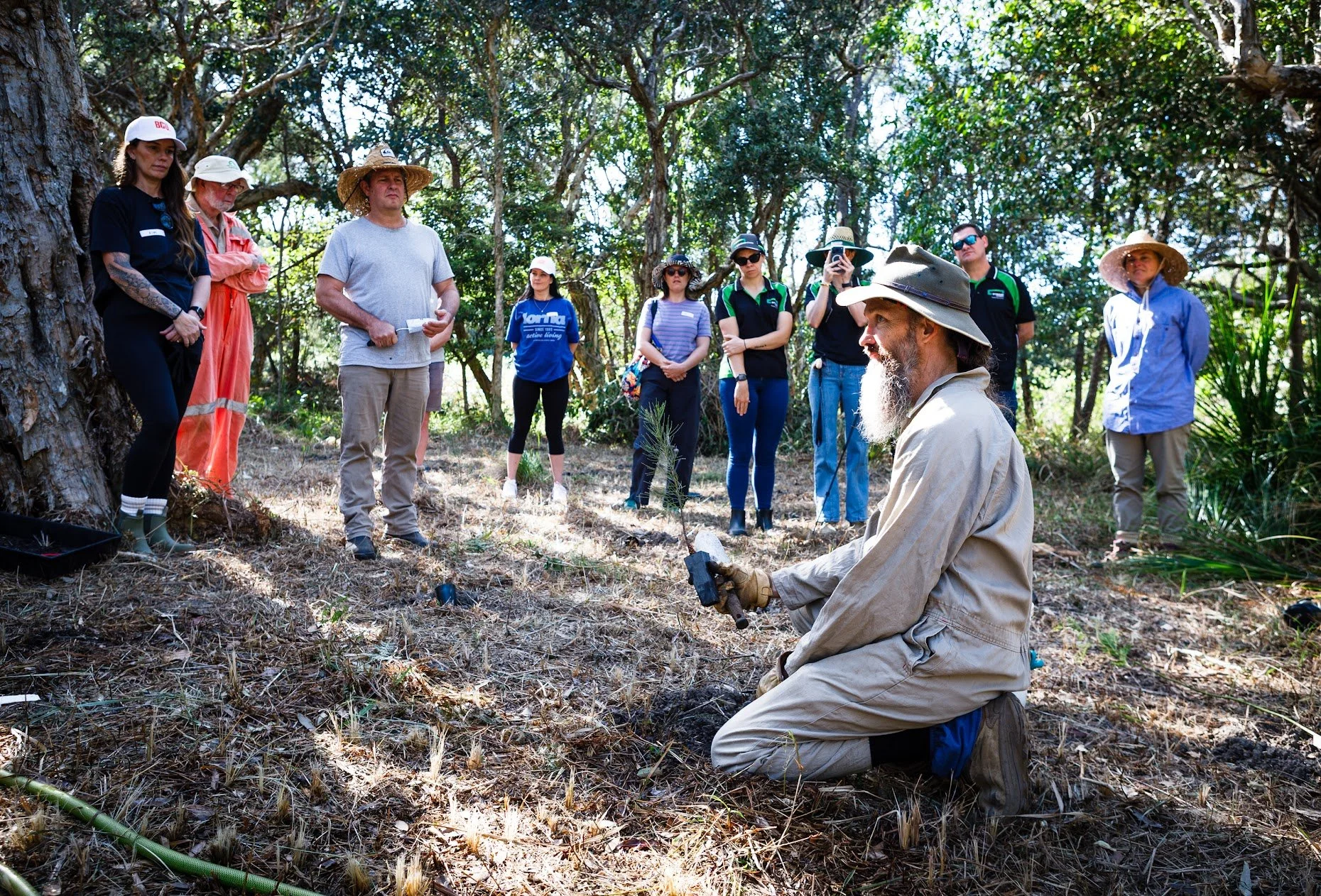 Boambee Headland planting boosts Glossy Black Cockatoo habitat