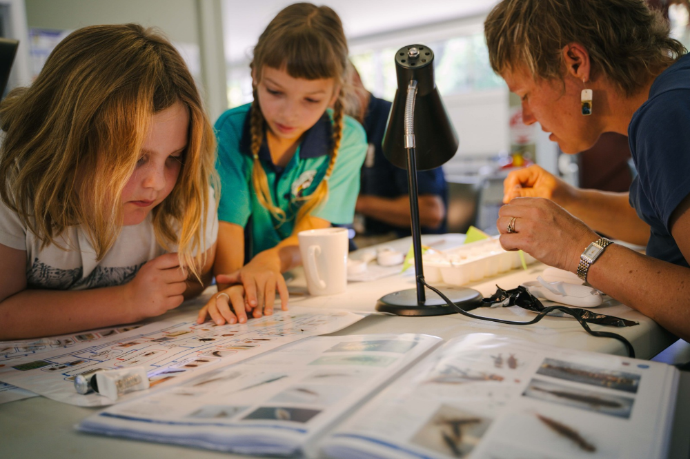 Photos for Macro Muster 9 Press Release  (3).png