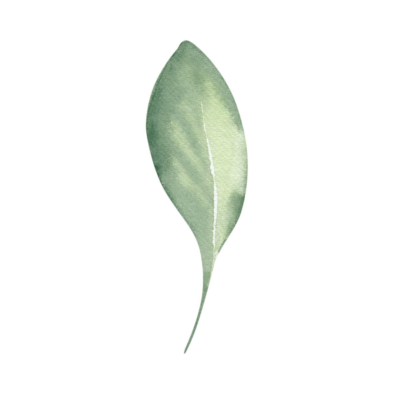 OZGREEN Individual Membership