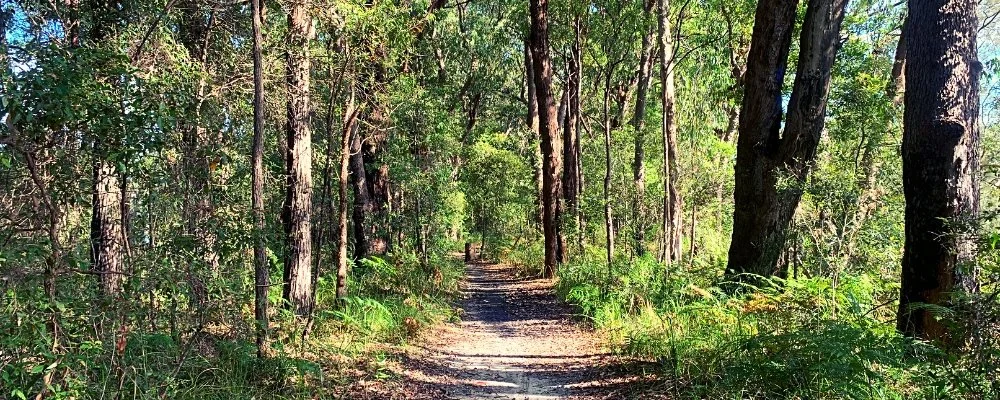 1_walks for wellness OzGREEN.jpg