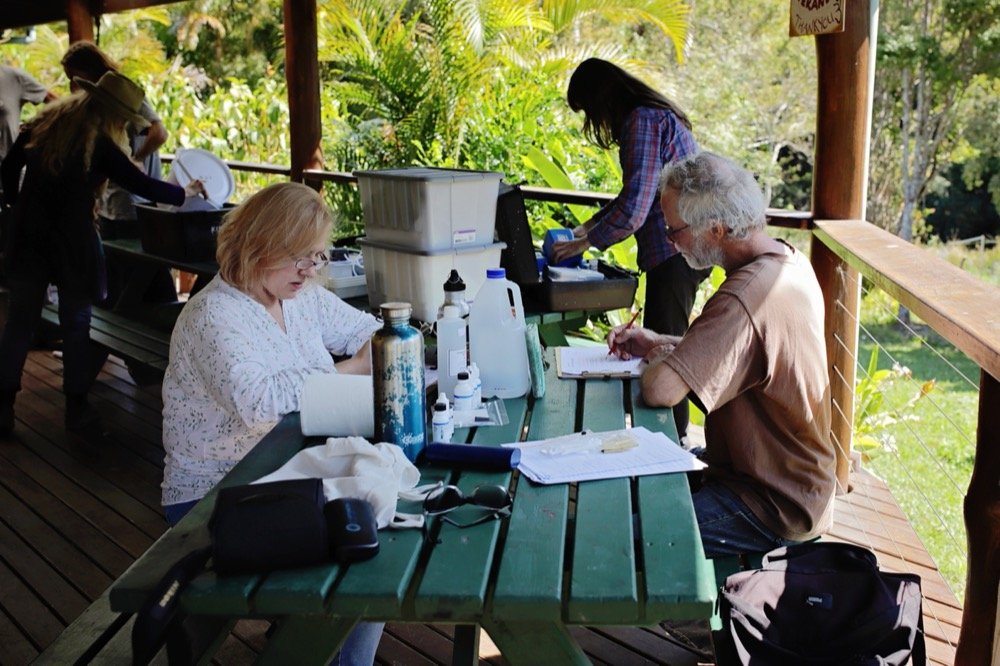 ozgreen_ Bellingen Riverwatch_ Sam Daykin_ Water Quality Monitoring_Bellingen_Water TestingIMG_0851e.jpg