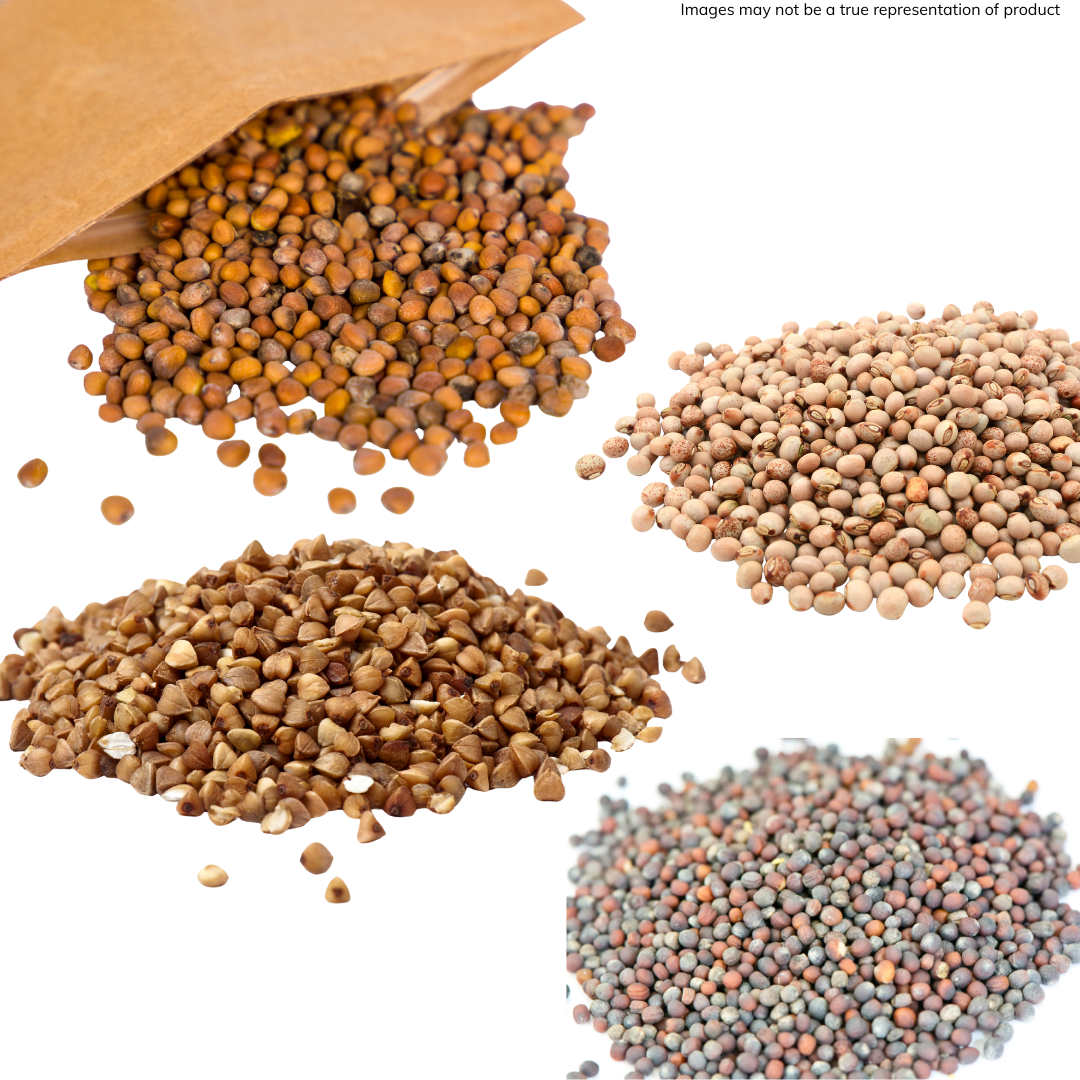 Kit 3 (1).png