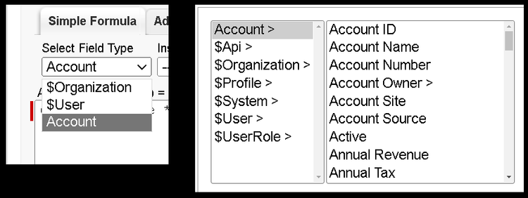 Using Formula Fields in Salesforce