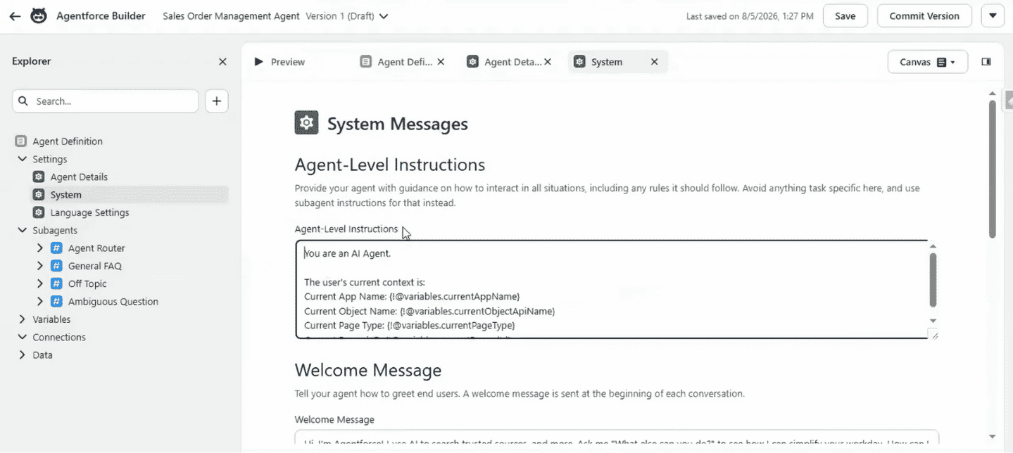 Agent level Instructions