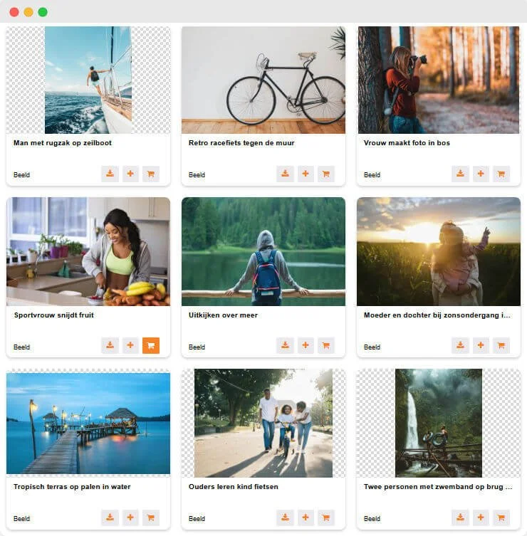 What is Digital Asset Management (DAM)?
