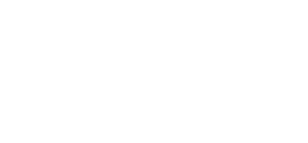 ISO 27001 DAM